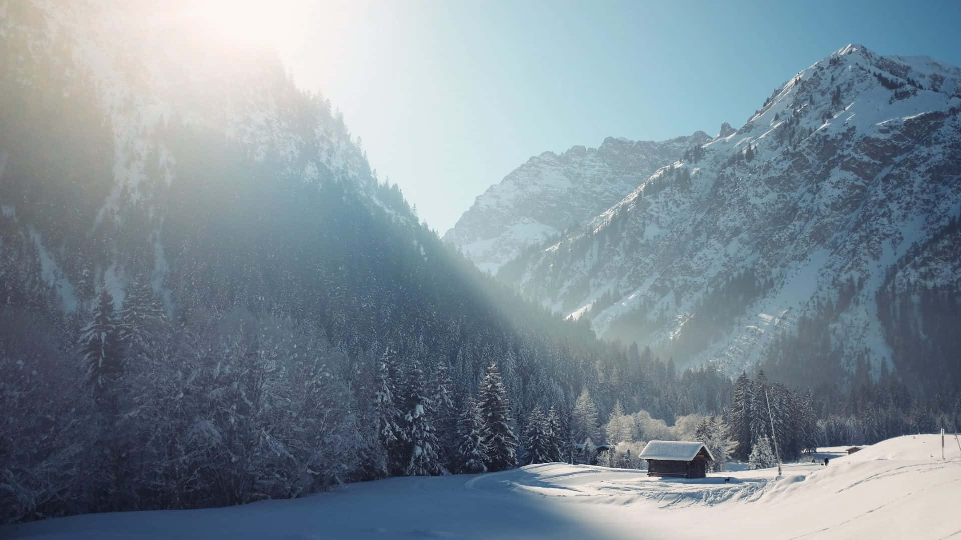 1920x1080 Free Winter Wallpaper Downloads, Winter Wallpaper for FREE