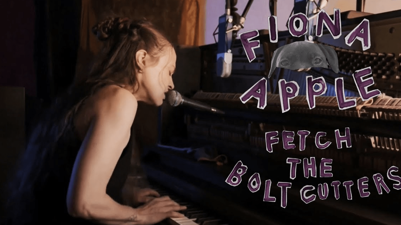 Fiona Apple Wallpapers - Top Free Fiona Apple Backgrounds - WallpaperAccess