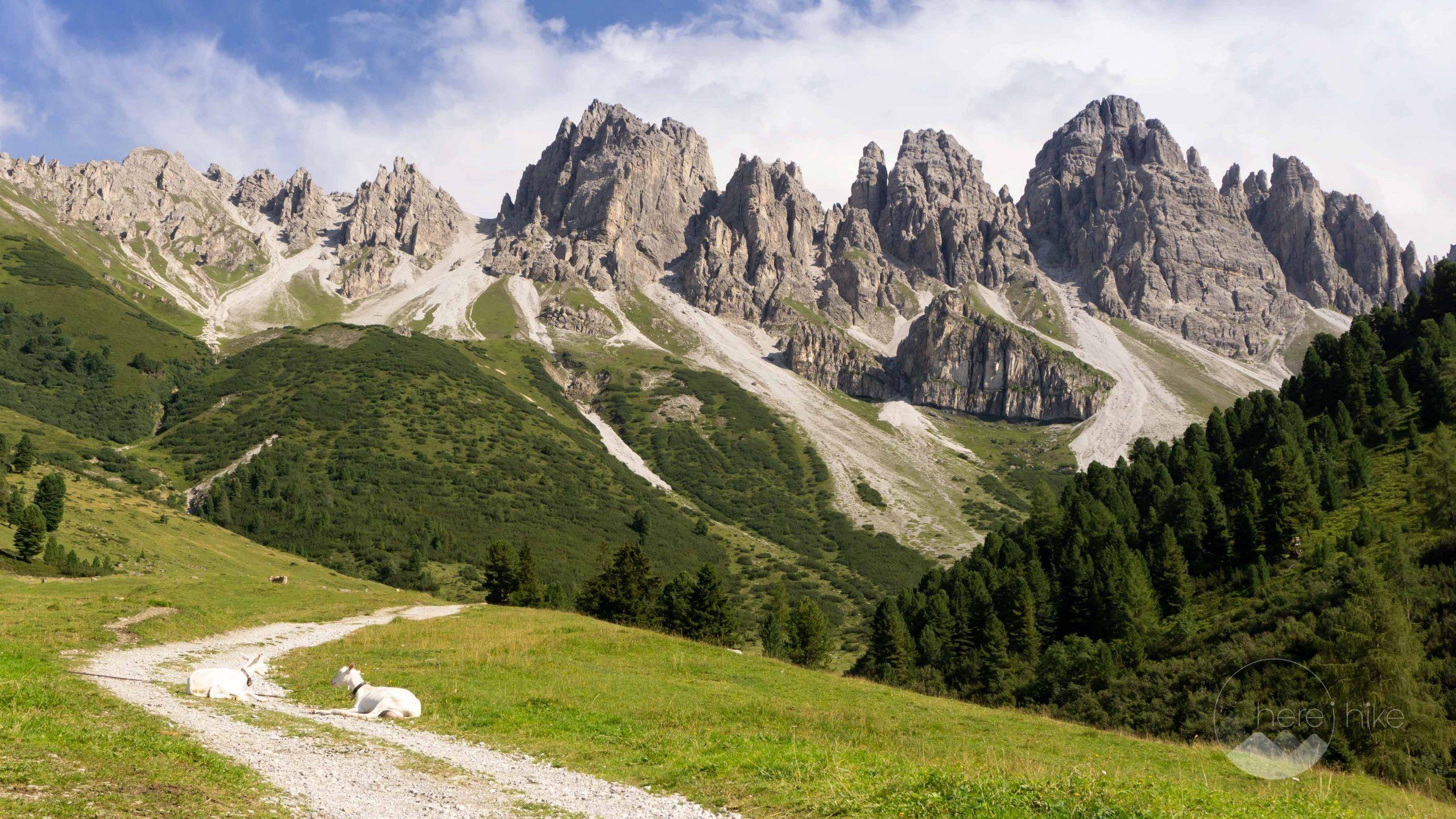 2560x1440 Holidays in Austria: Tirol, Heaven on Earth