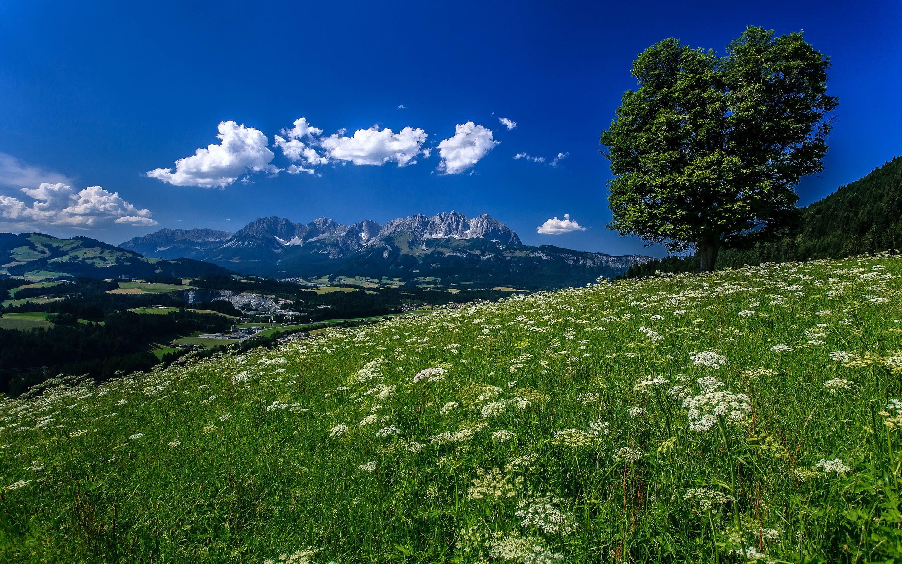 3000x1875 Free download Tyrol Austria Austria Wallpaper Tyrol Austrian Alps 3000 X 1875 Natur [3000x1875] for your Desktop, Mobile & Tablet. Explore Austrian Alps Wallpaper. Alps Wallpaper, Swiss Alps Wallpaper