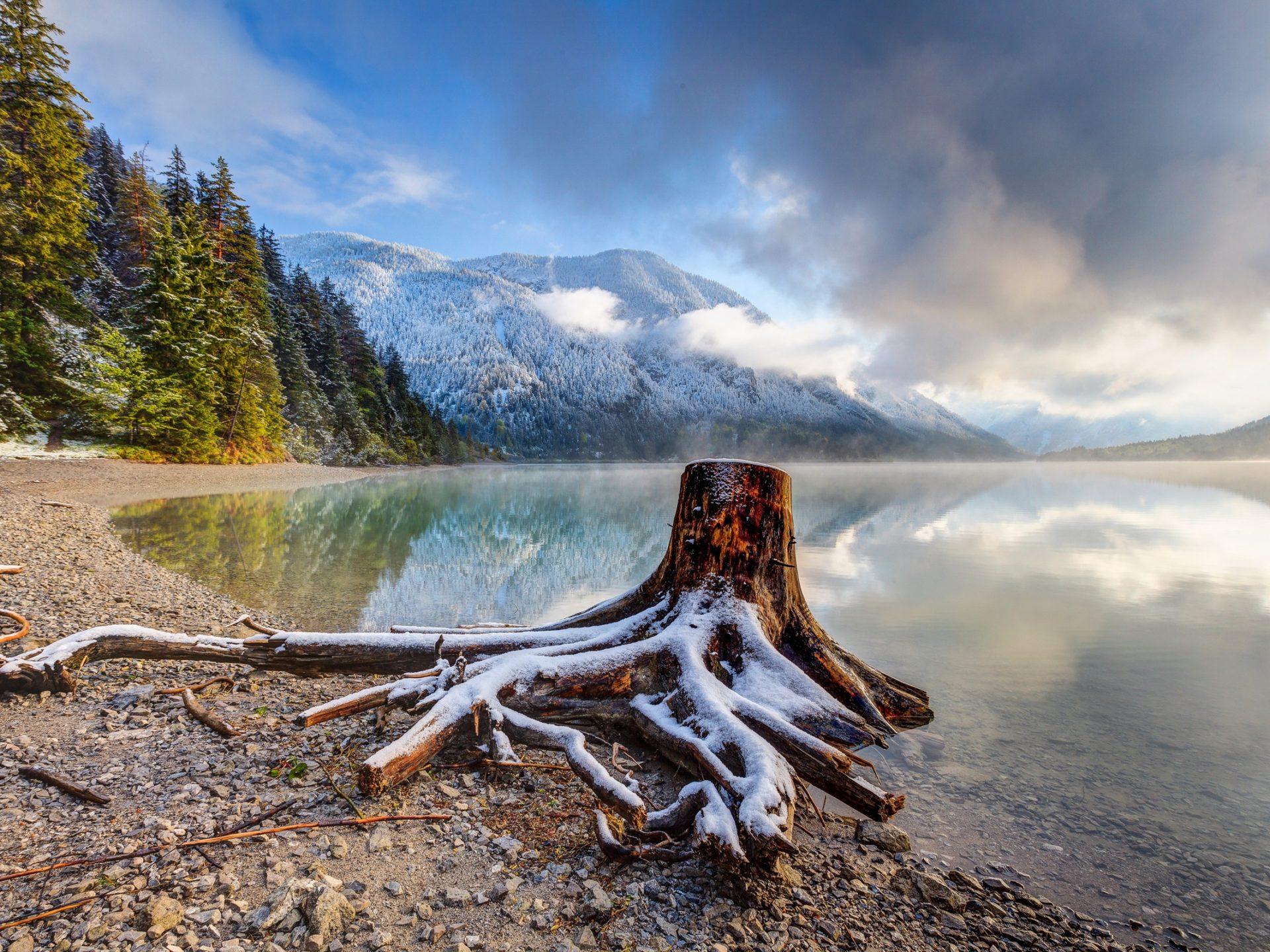 1920x1440 Austria Coast Mountains Scenery Tirol Tree Stump Nature 411069 :