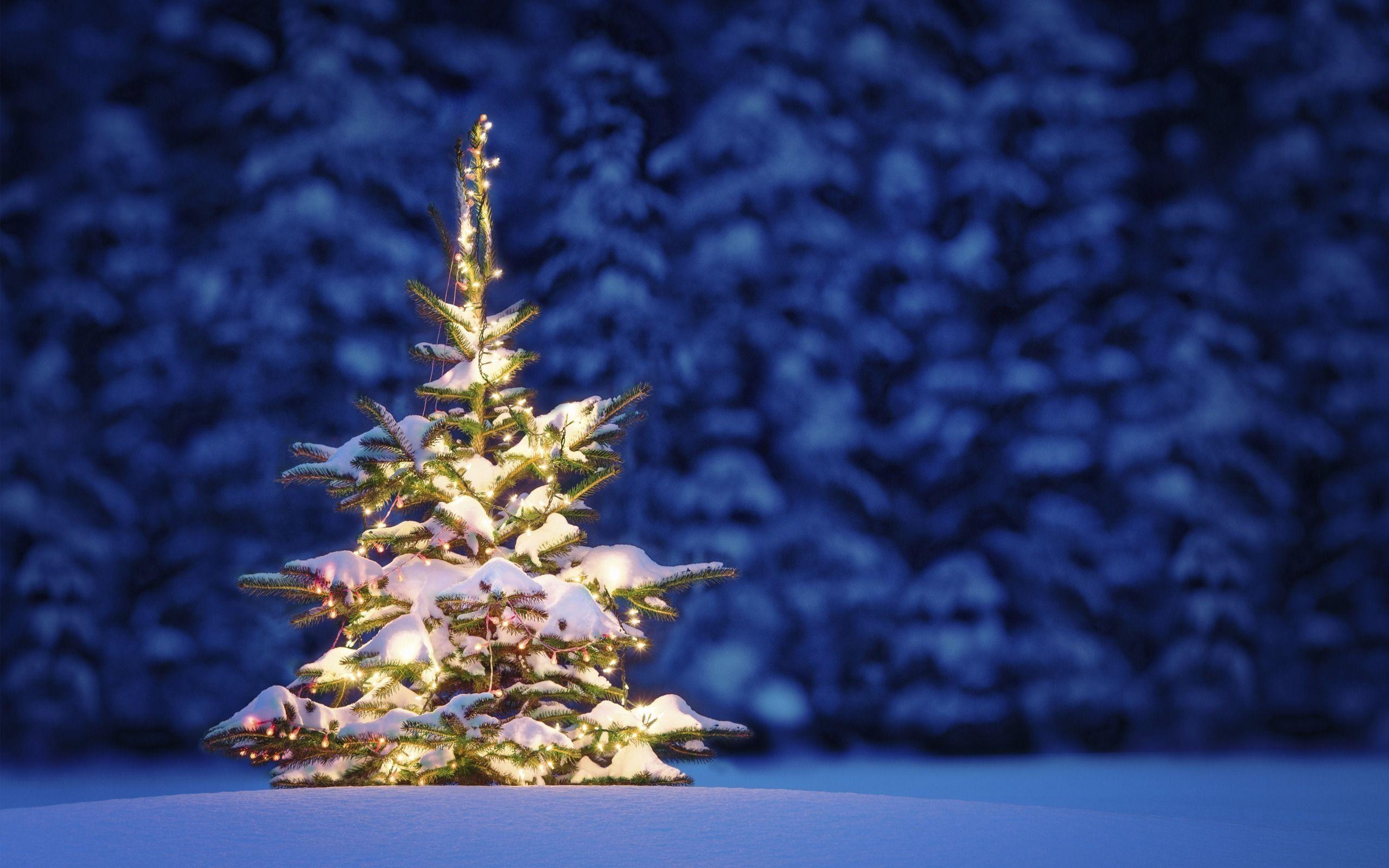 2560x1600 Beautiful Rustic Christmas Desktop Wallpaper