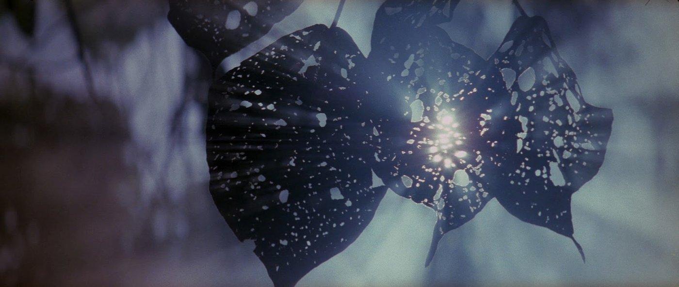 1400x593 Terrence Malick Wallpaper