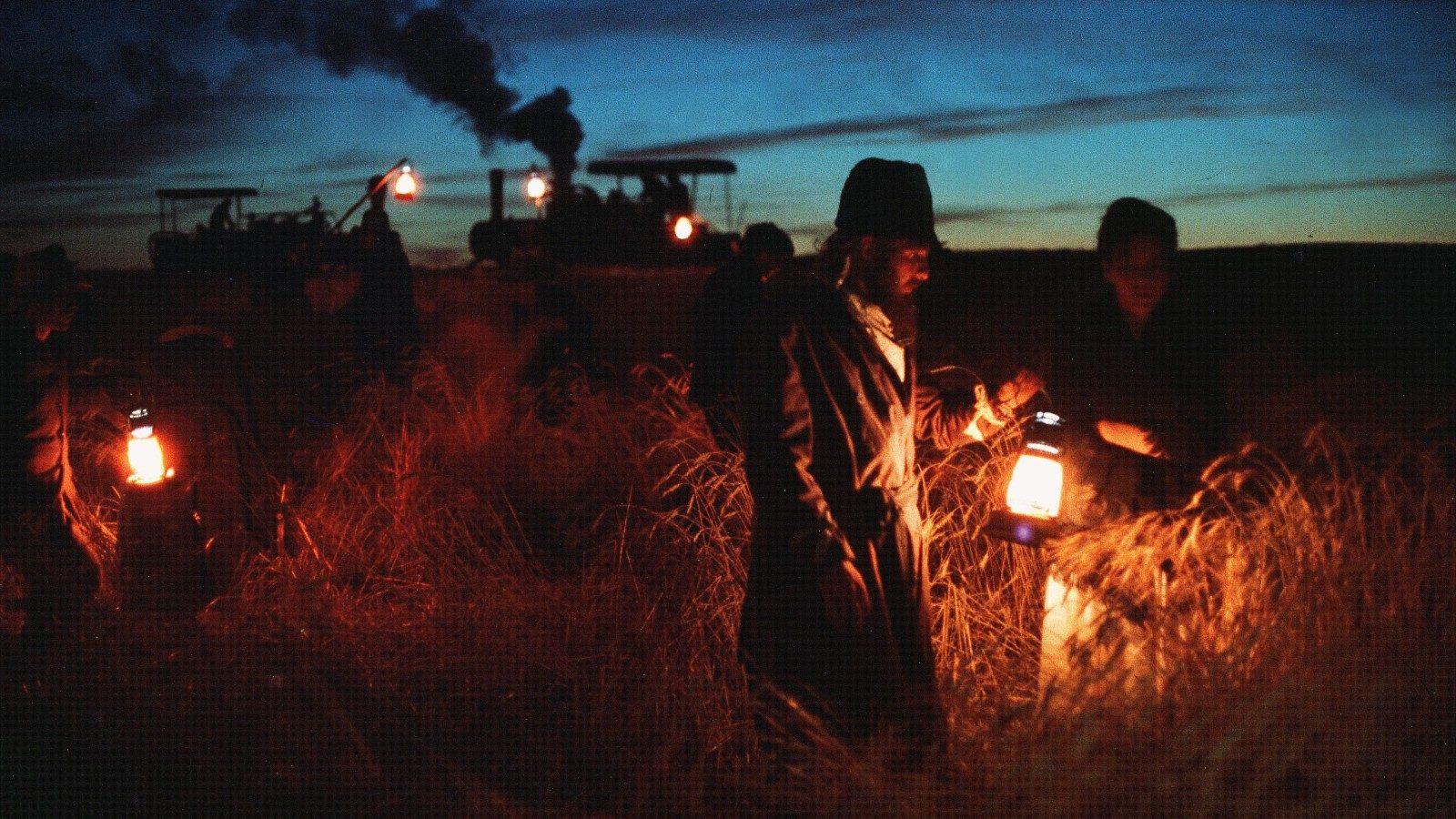 Terrence Malick Wallpapers - Top Free Terrence Malick Backgrounds