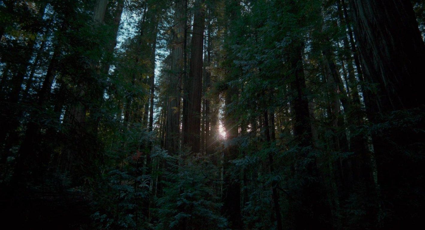 1419x768 Lost In Film - 'Voyage of Time' ( Terrence Malick). Cinematography: Paul Atkins