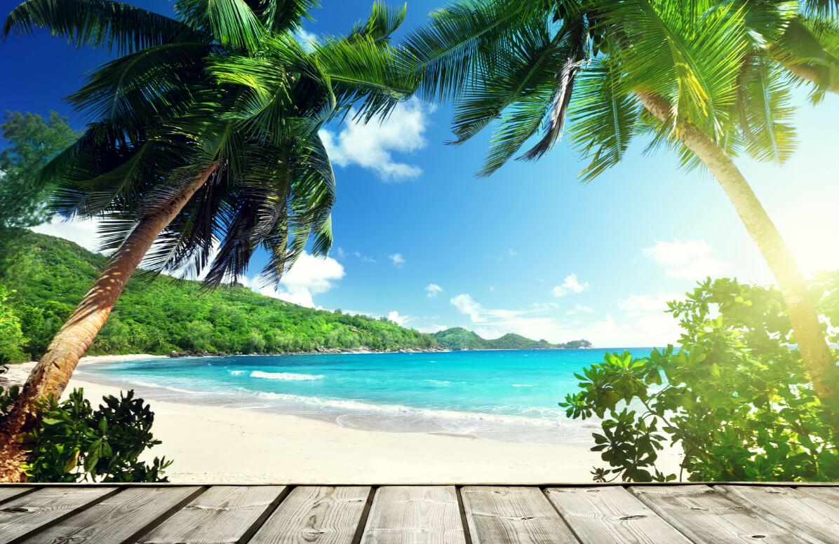 Steve Ballmer Wallpapers - Top Free Steve Ballmer Backgrounds