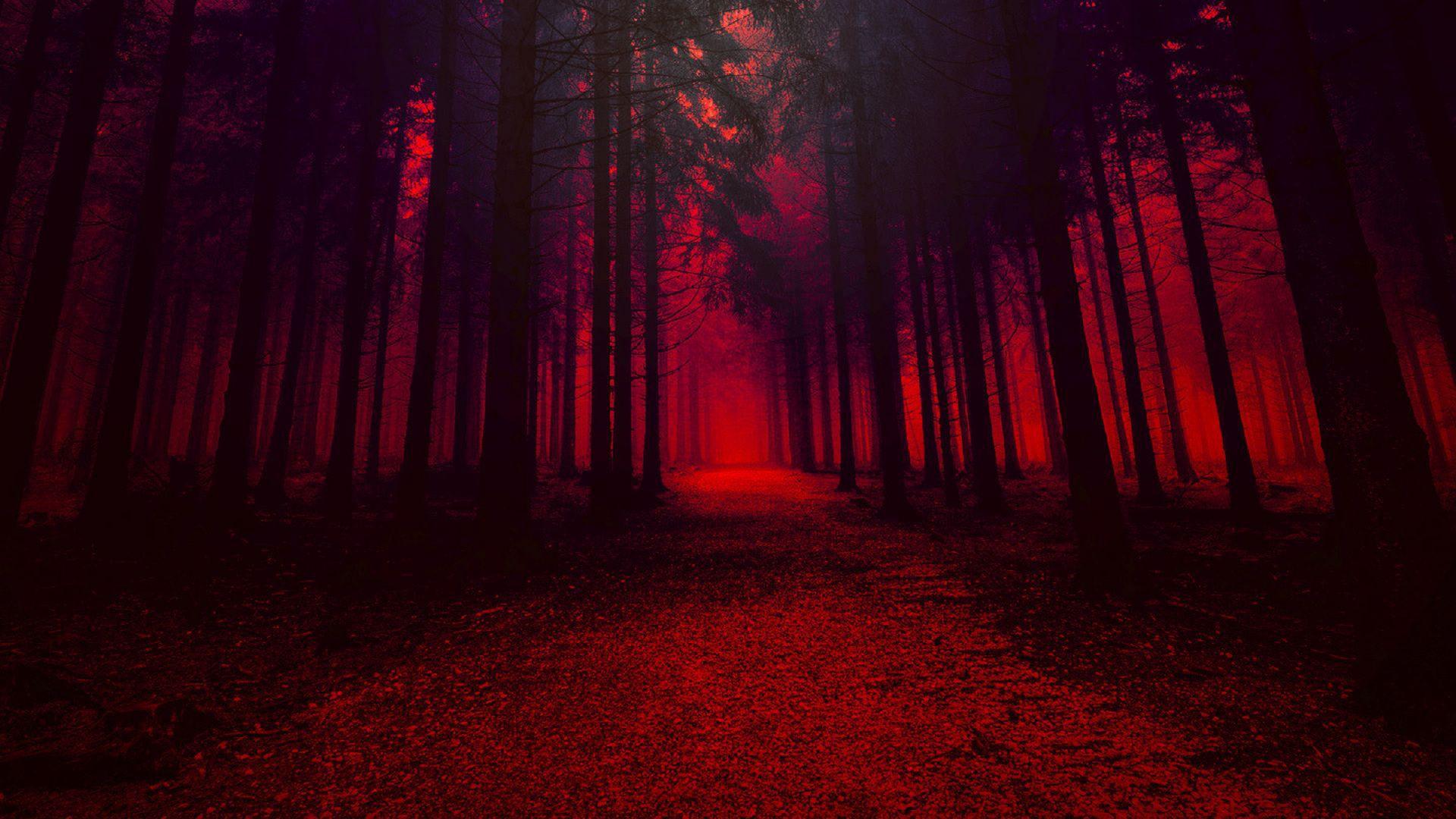 1920x1080 Desktop Wallpaper Red Theme, Forest, Pathway, Dark, HD Image, Picture, Background, 5606be