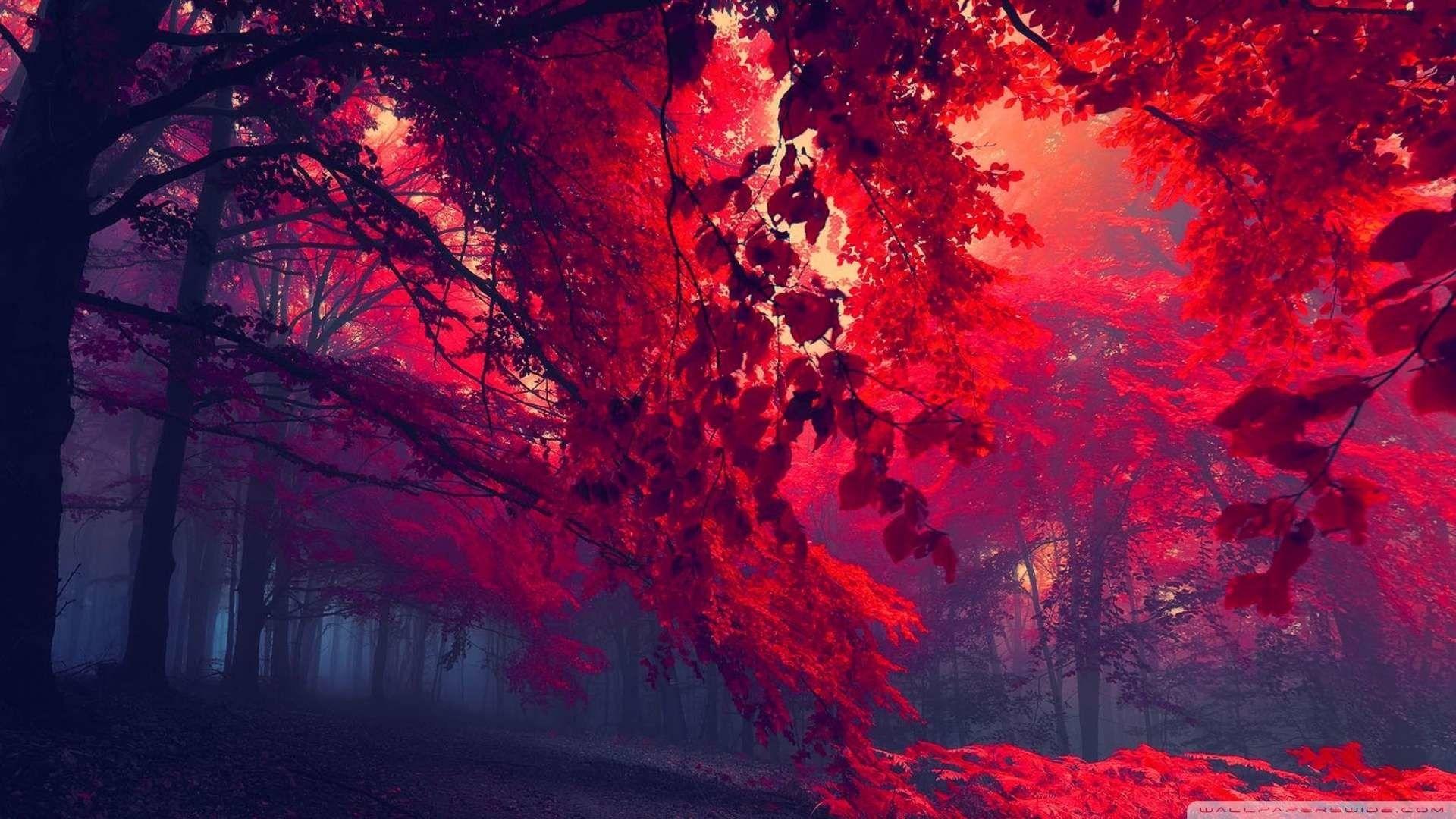 1920x1080 Red 1080P Wallpaper