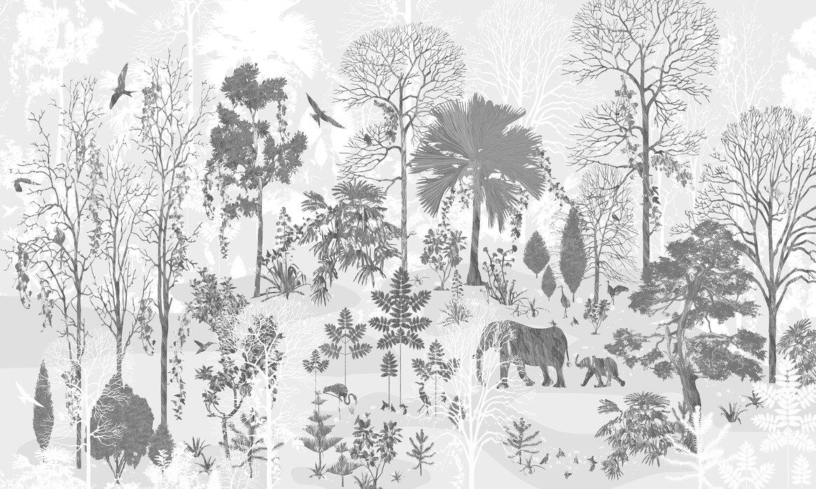 1165x699 Rain Forest