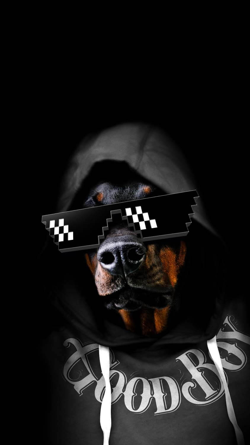 Good Boy Wallpapers Top Free Good Boy Backgrounds WallpaperAccess