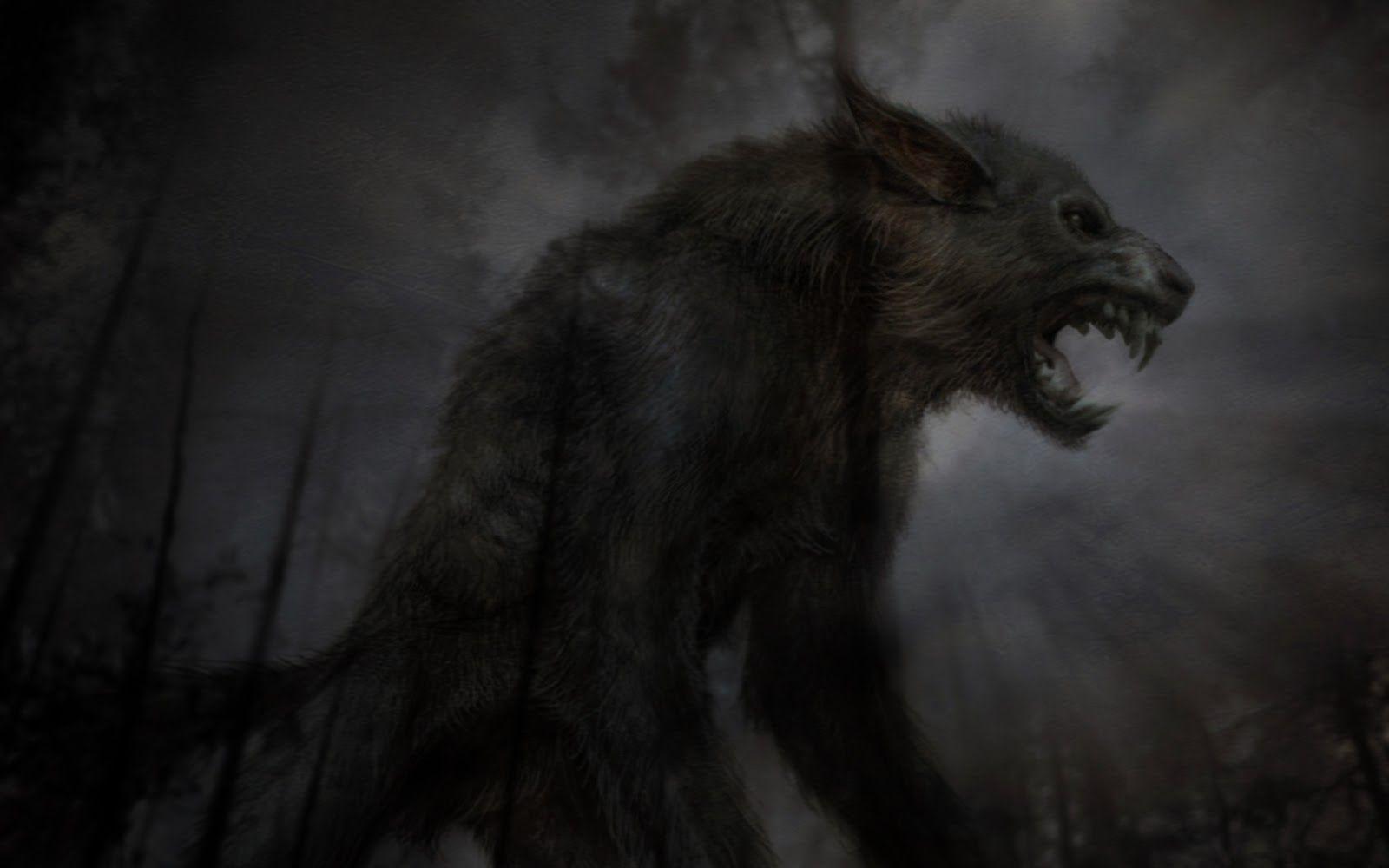 1600x1000 Angry Wolf Wallpaper