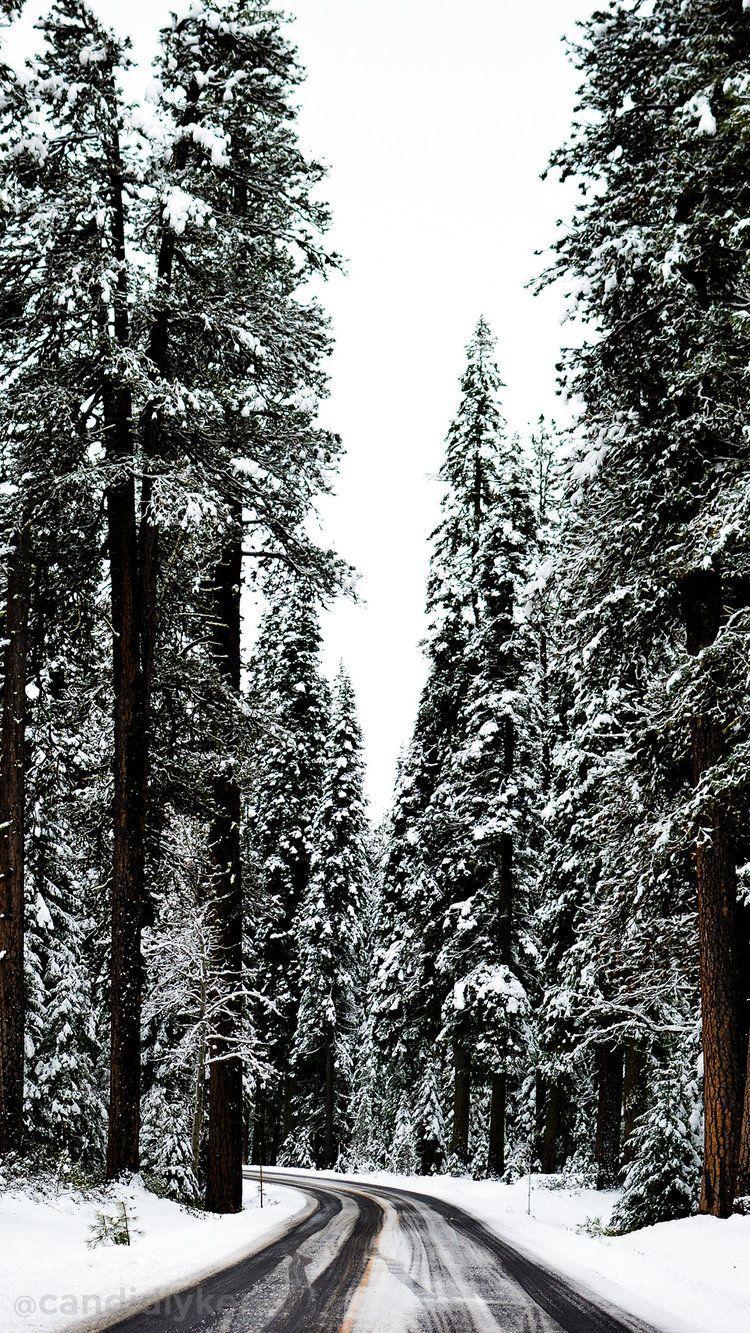 750x1333 Christmas wallpaper. iPhone wallpaper winter, Winter wallpaper, Winter photography
