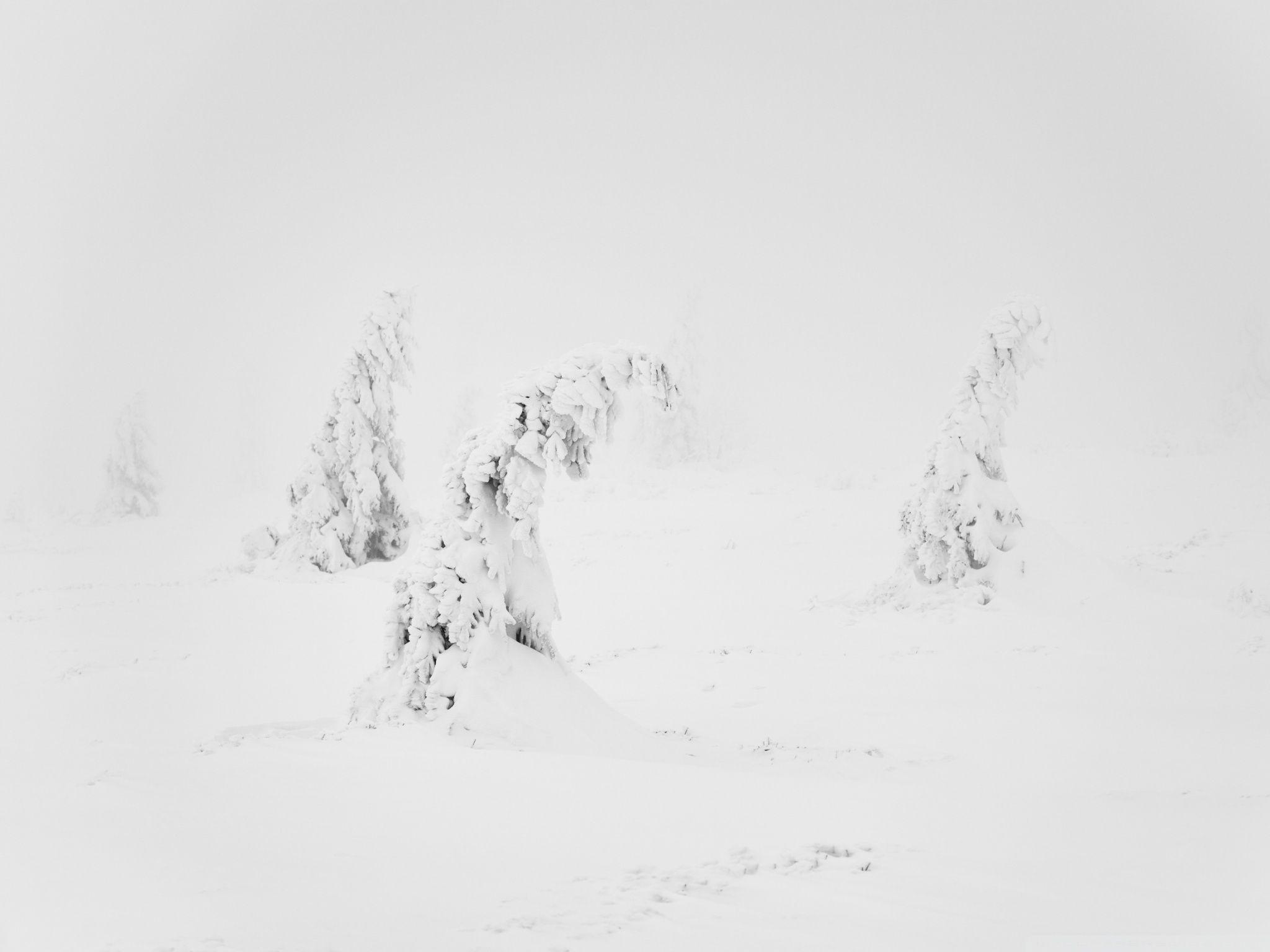 2048x1536 Winter White Snow Aesthetic Ultra HD Desktop Background Wallpaper for 4K UHD TV : Widescreen & UltraWide Desktop & Laptop : Multi Display, Dual Monitor : Tablet