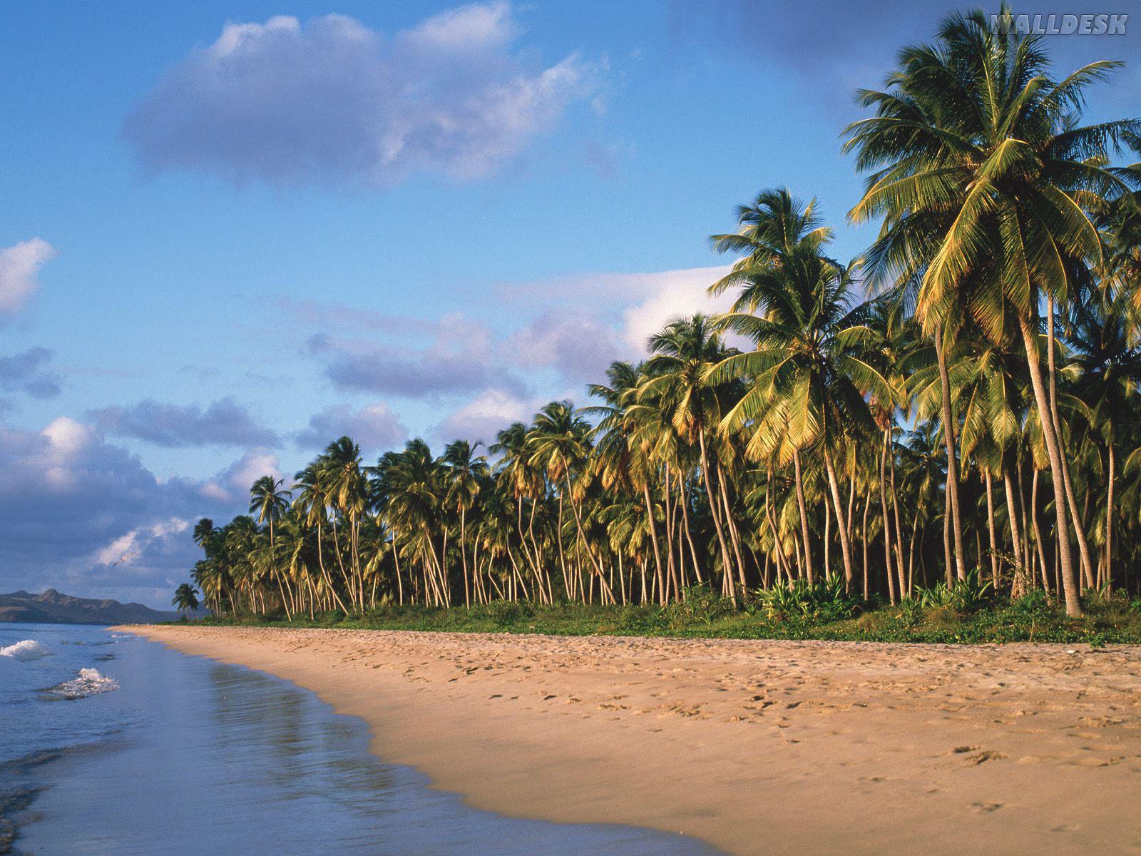 1600x1200 Free download Pinneys Beach Nevis West Indies Wallpaper HD 1600x1200px [1600x1200] for your Desktop, Mobile & Tablet. Explore West Indies Wallpaper. Old West Wallpaper, Wild West Wallpaper, Wild West Wallpaper
