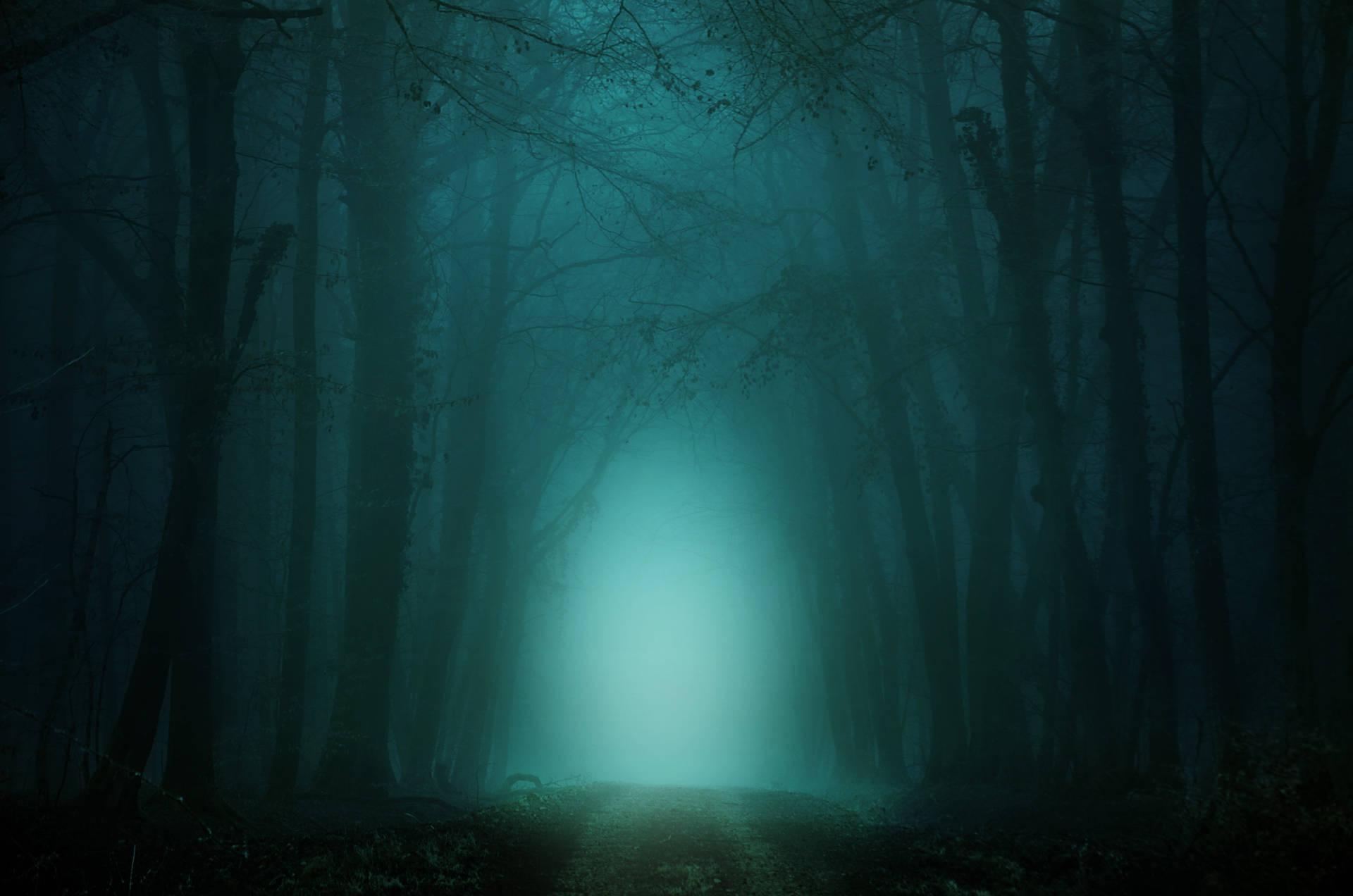 1920x1272 Download Fairy Grunge Gleaming Soft Light Wallpaper