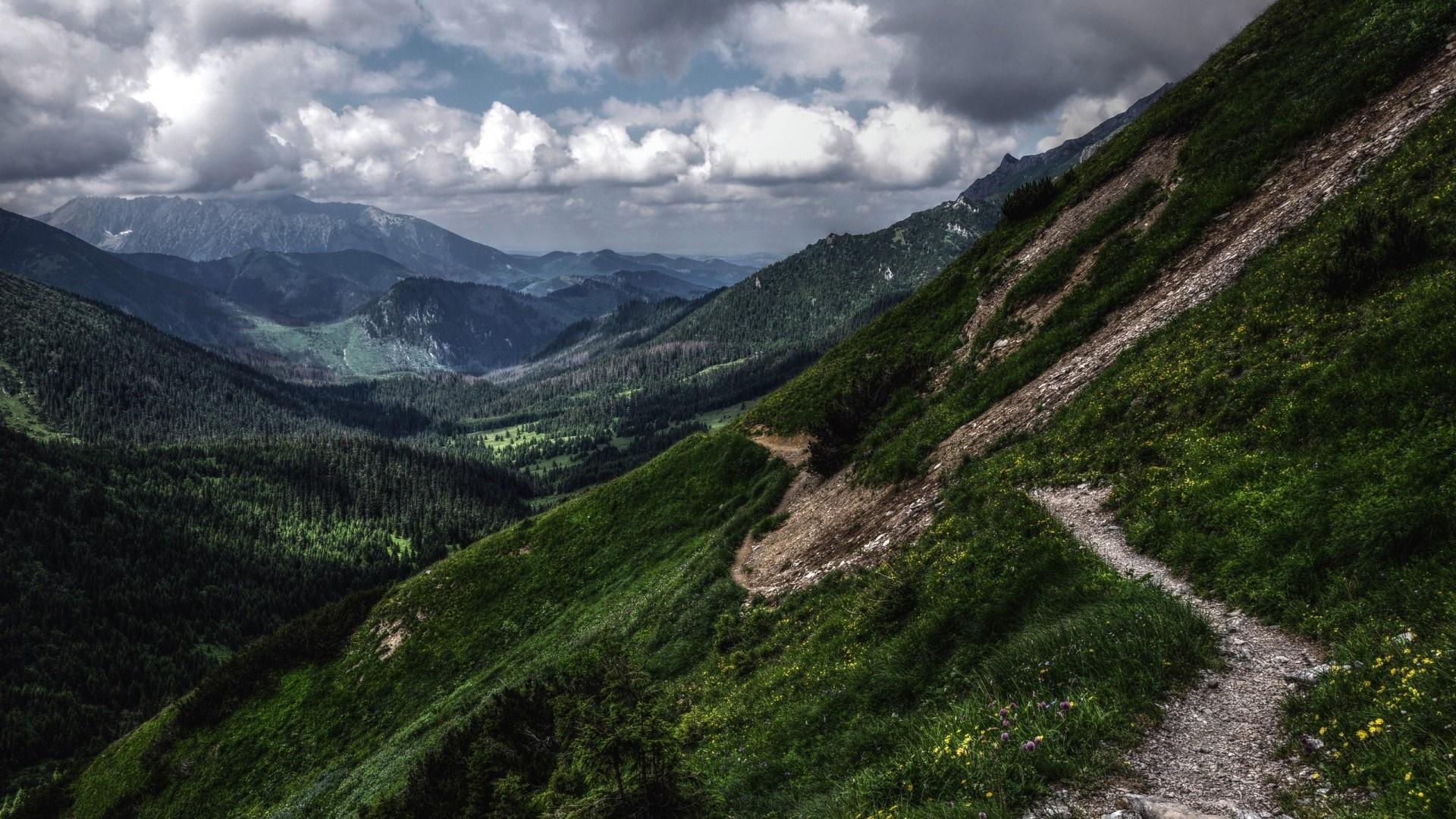1920x1080 ravine 1080P, 2k, 4k HD wallpaper, background free download