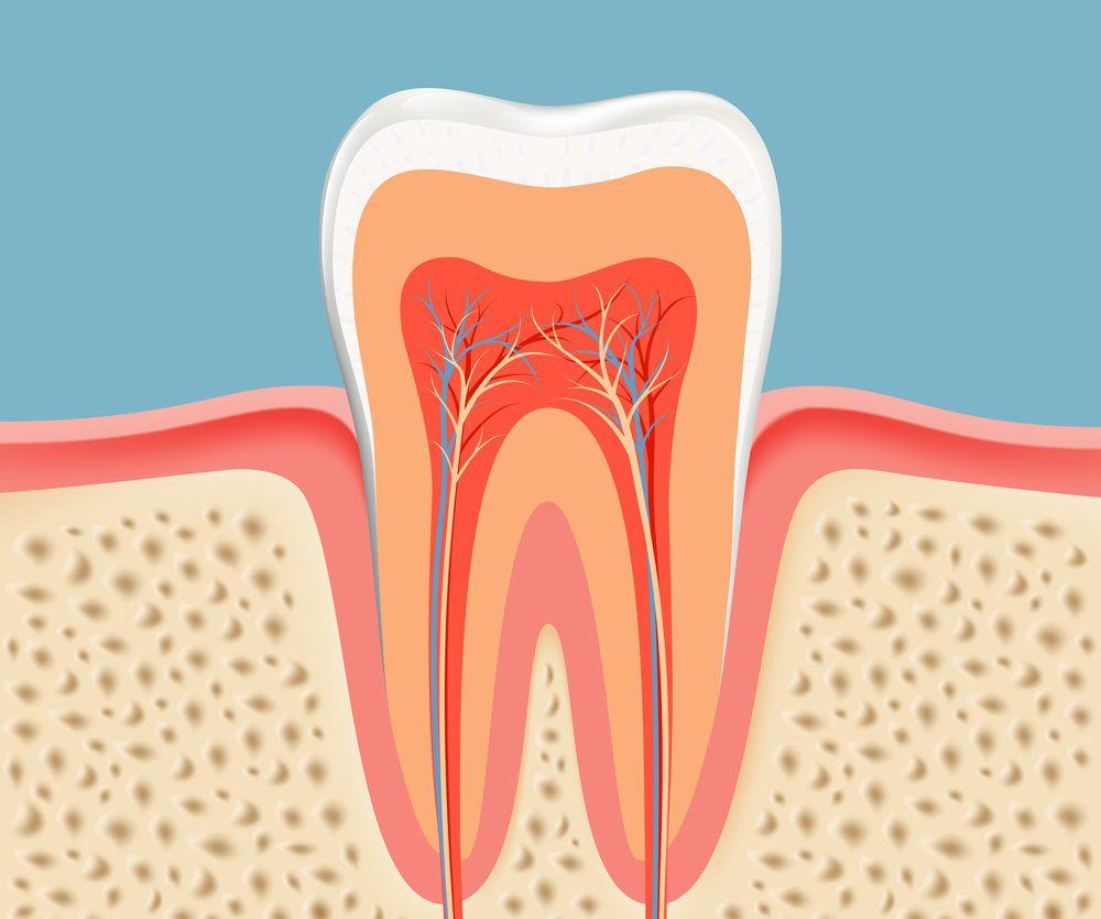 Root Canal Treatment Wallpapers - Top Free Root Canal Treatment