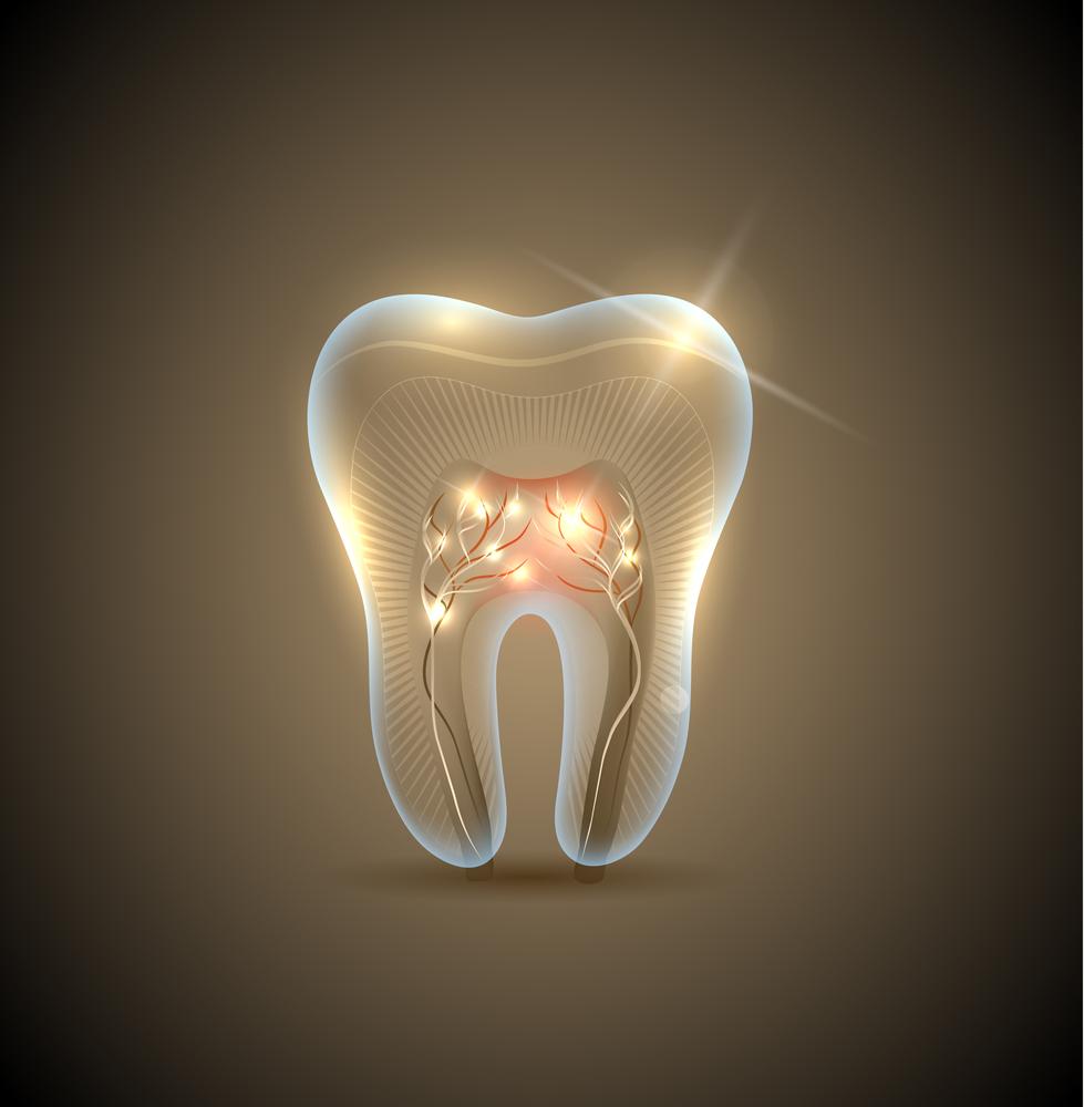 Artistic Can You Go To Work After A Root Canal View Collection Artistic Can You Go To Work After A Root Canal View Collection