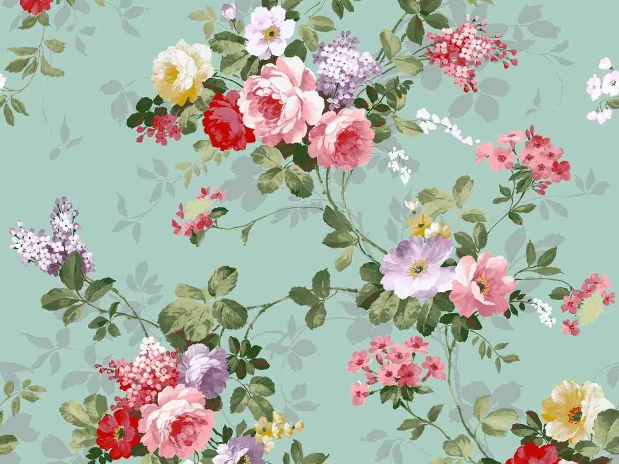 1264x948 Rhie rose wallpaper flower tumblr for iphone HD s