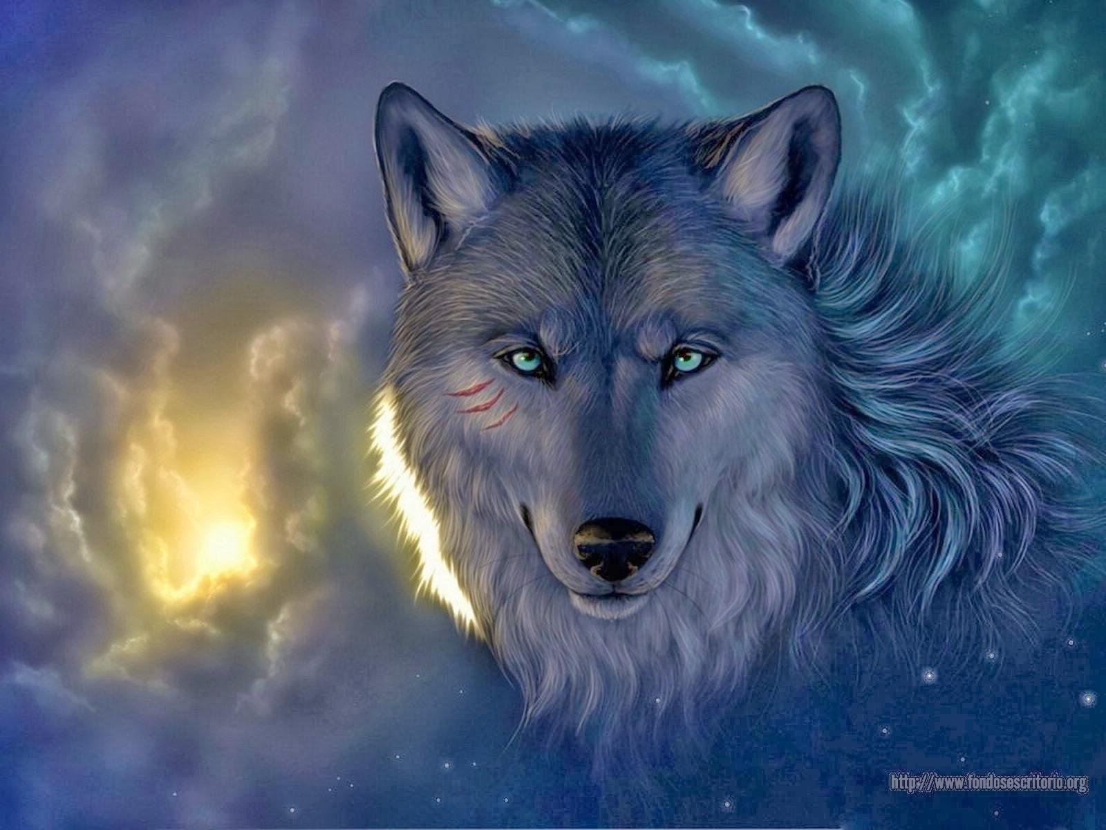 Lobo Animal Wallpapers - Top Free Lobo Animal Backgrounds - WallpaperAccess