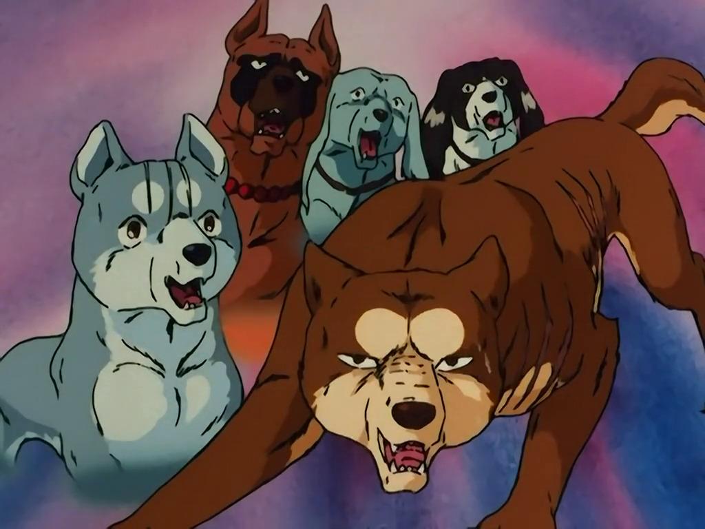1024x768 Pretty Ginga image on Tumblr