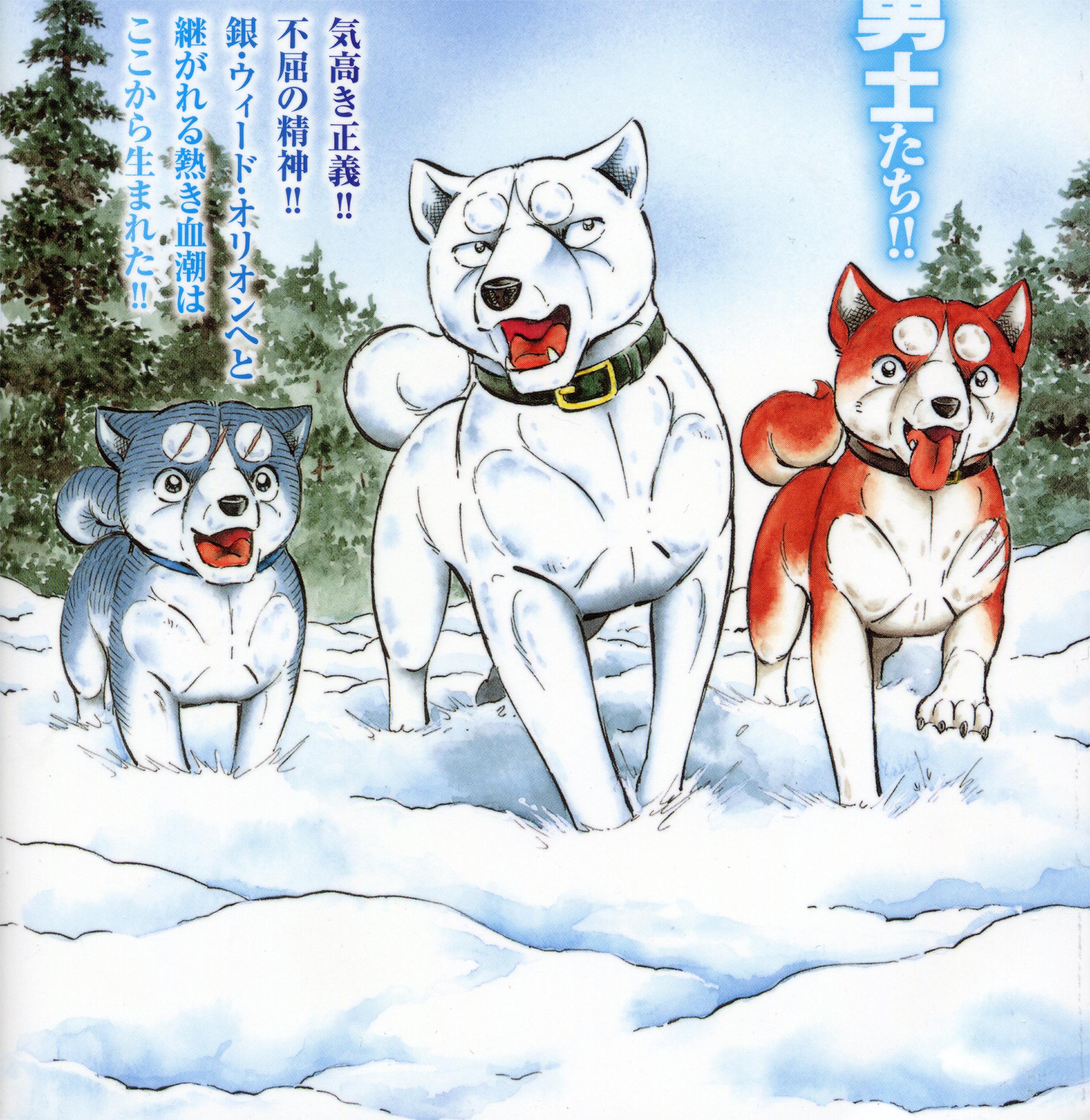 2433x2500 Shiro (Ginga: Nagareboshi Gin) and Scan Gallery