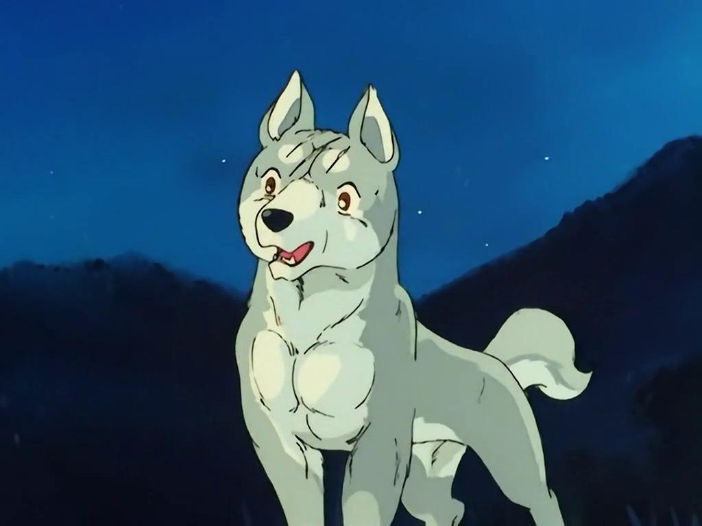 1024x768 Pretty Ginga image on Tumblr