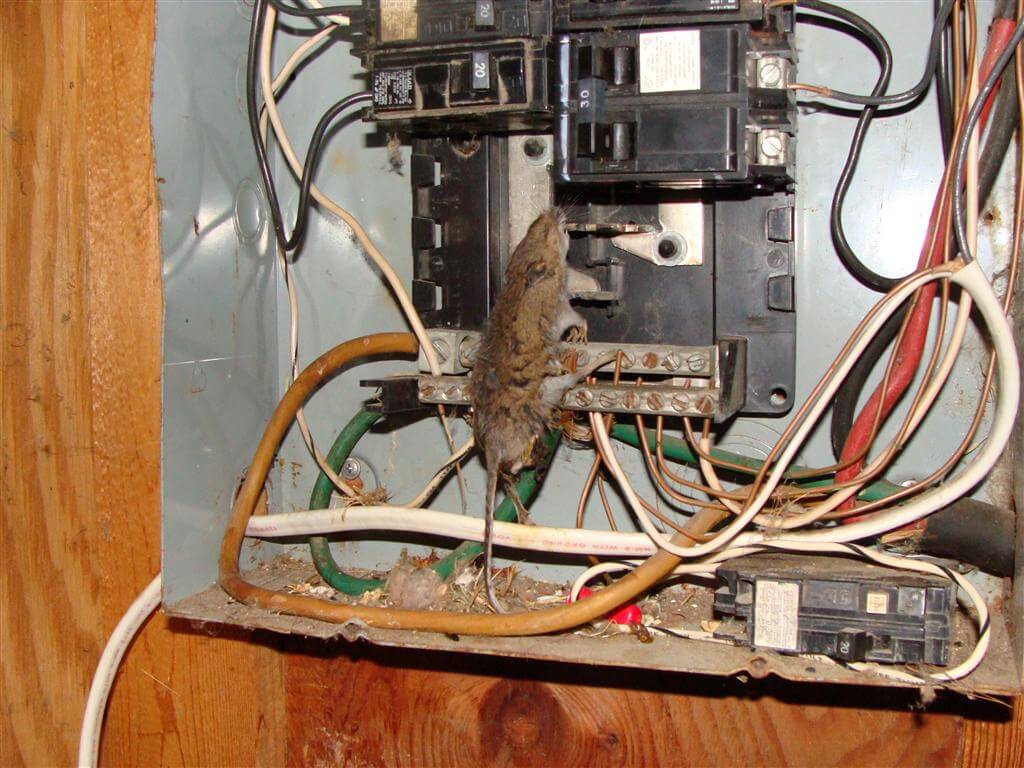 1024x768 How to Fill Missing Knockouts in Electric Boxes