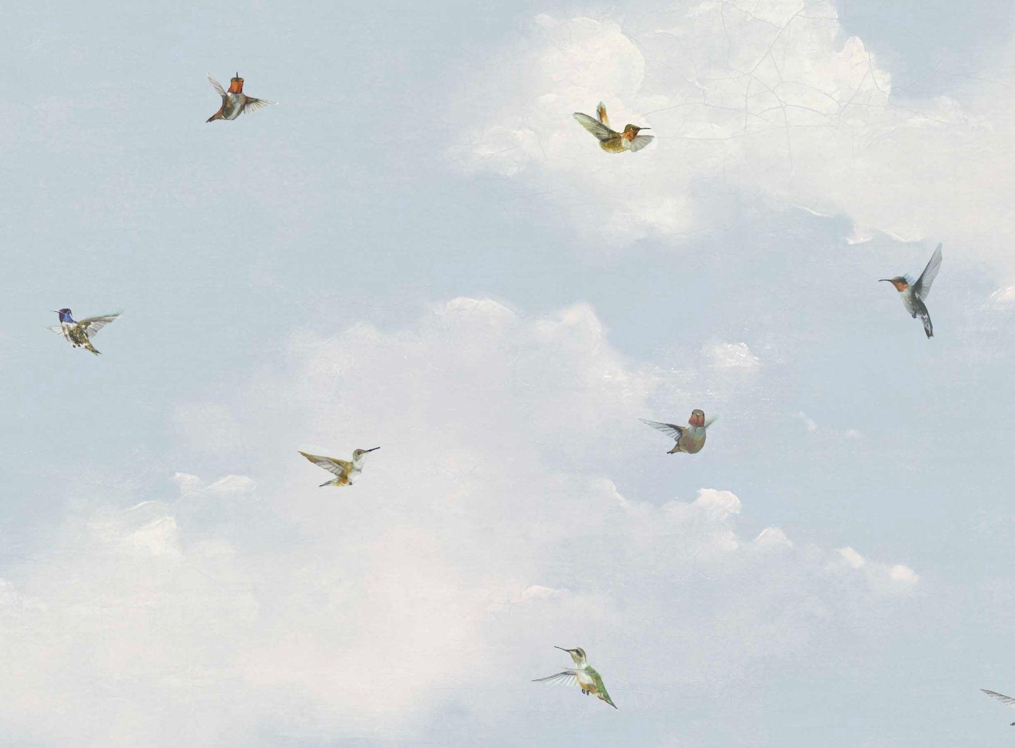 2048x1509 Hummingbird Wallpaper