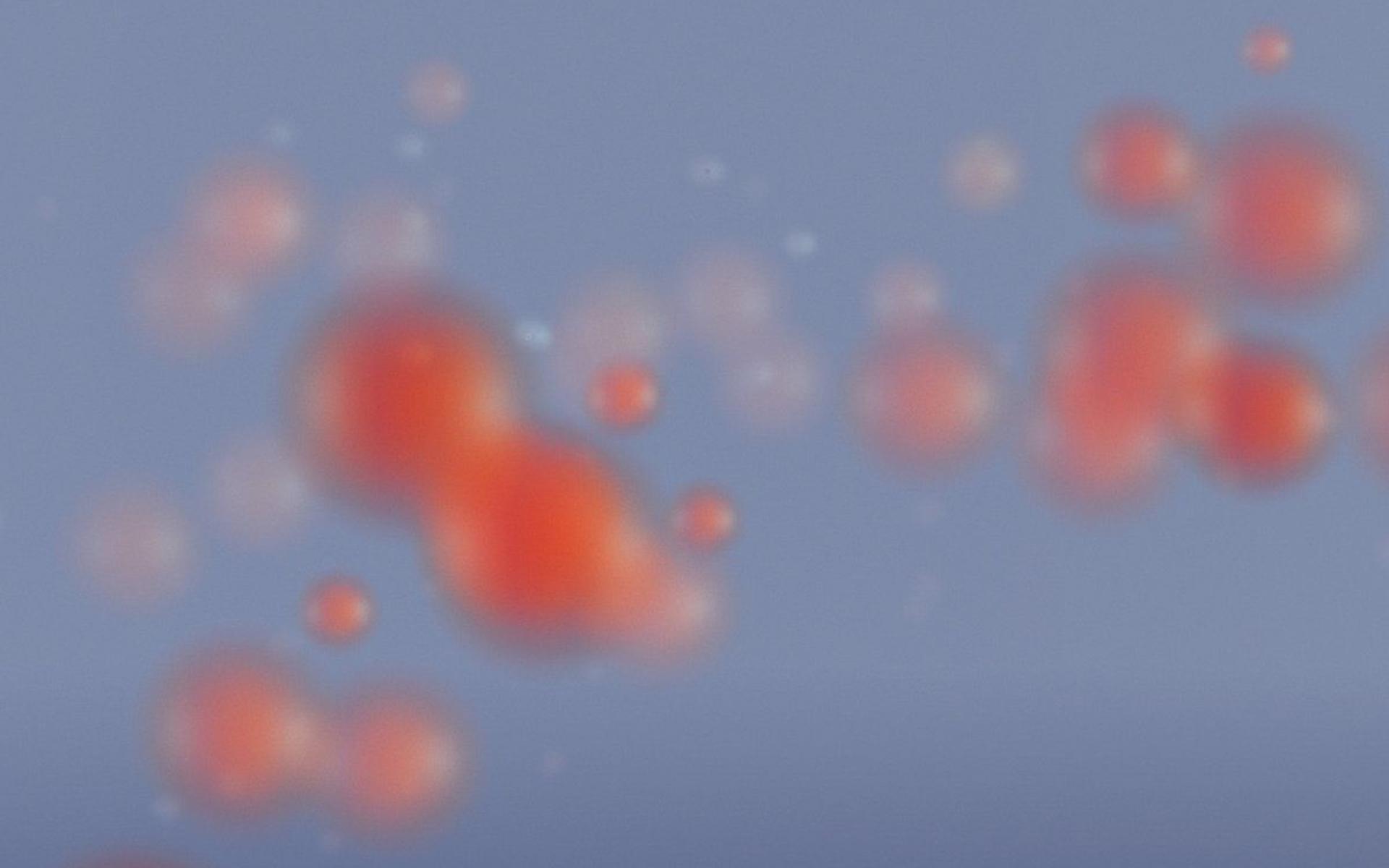1920x1200 Free Download Y2K Aesthetic Computer Wallpaper