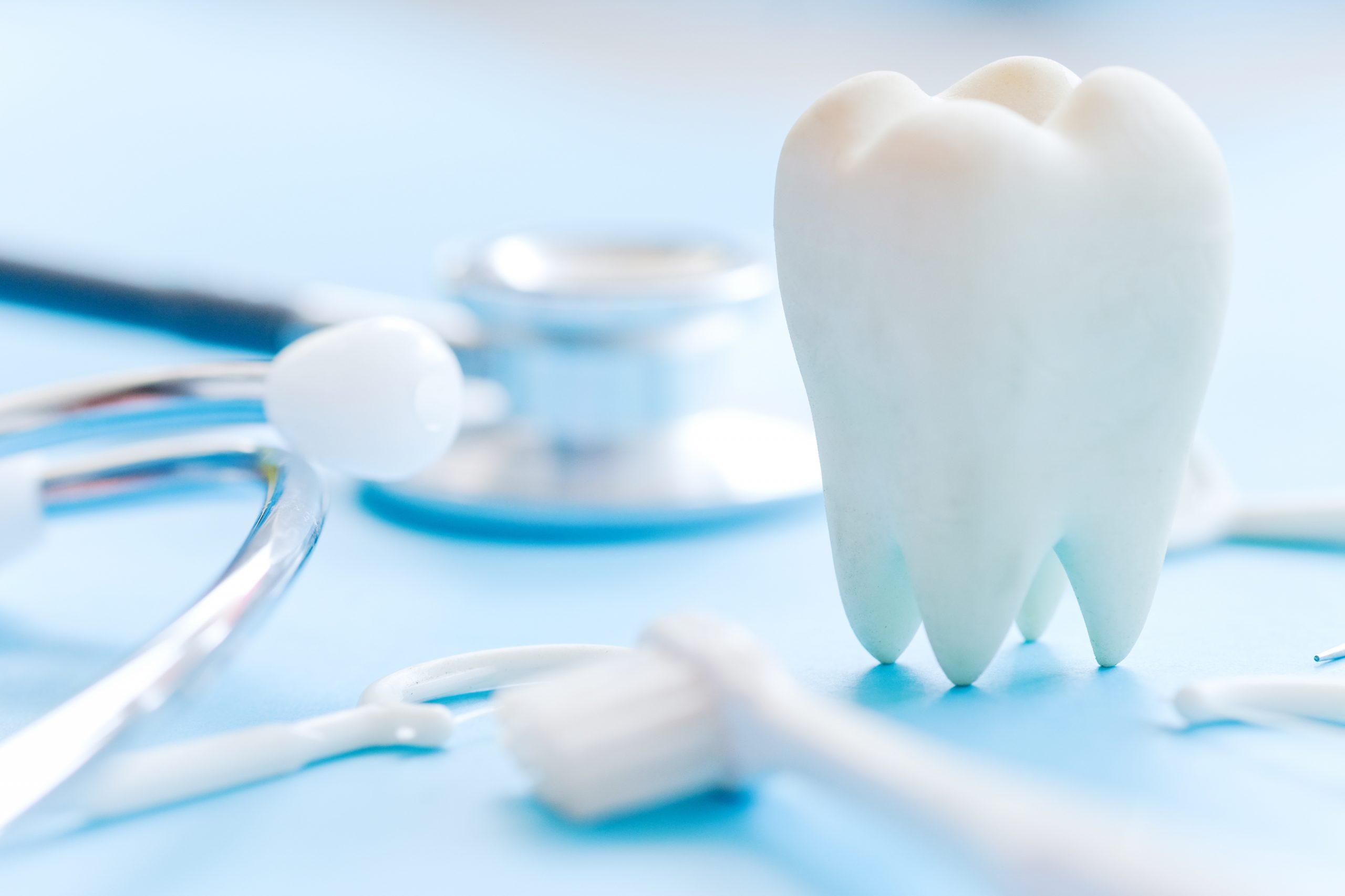 2560x1706 Dental Care Routine & Pediatric Care, Cleanings. CCI Health Services