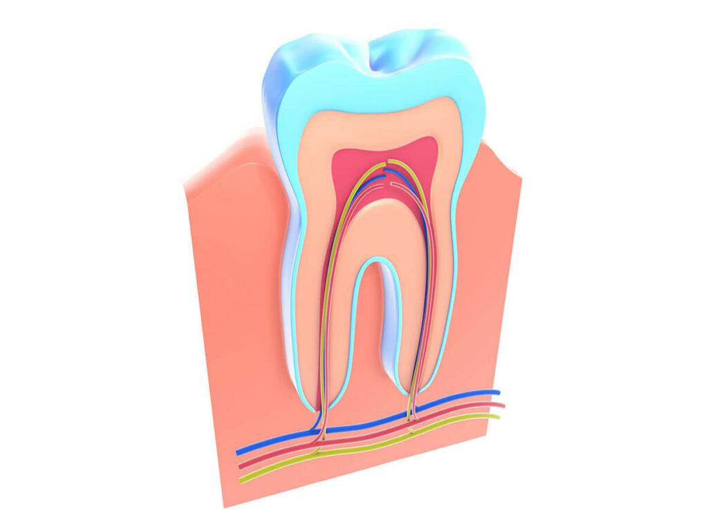 1024x768 Root Canal Treatment Dental Care Falls, ID