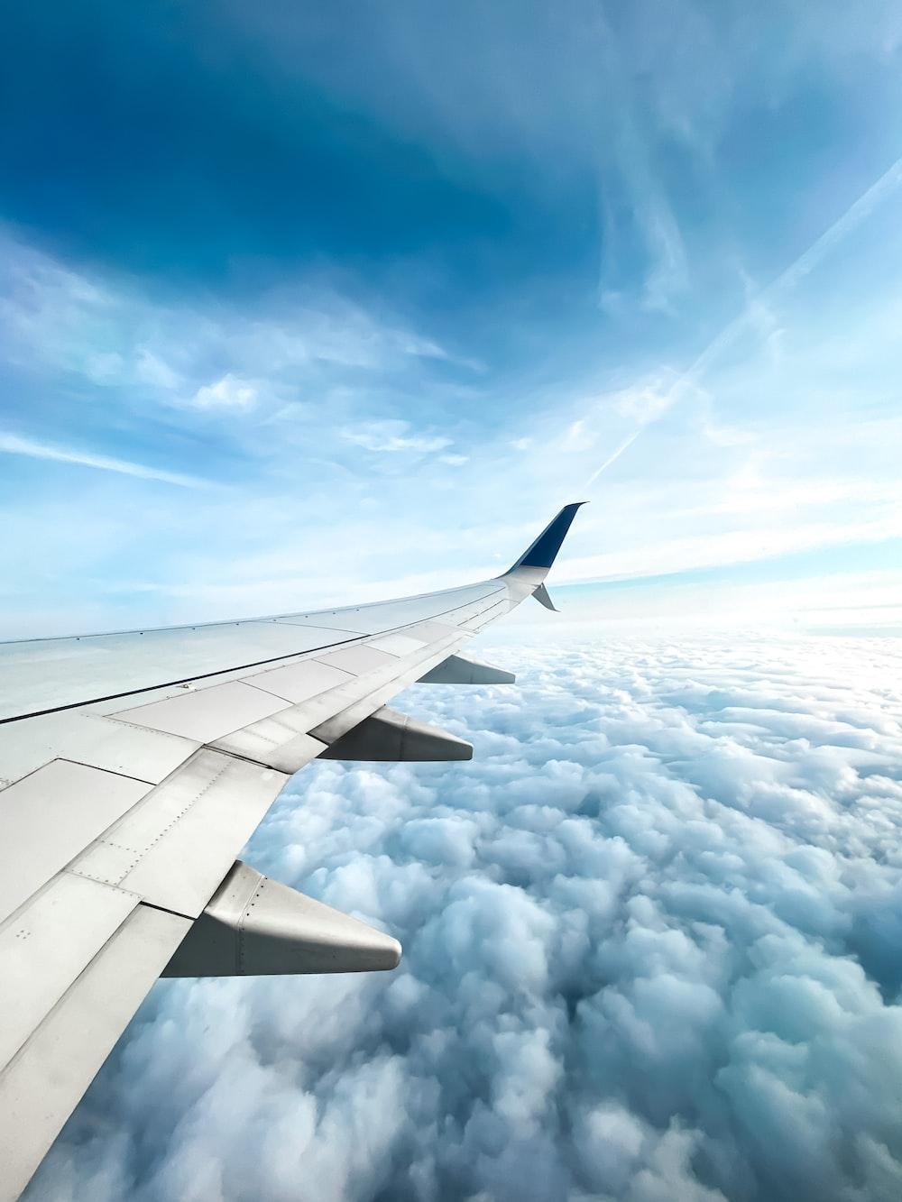 1000x1333 Flight Attendant Picture. Download Free Image