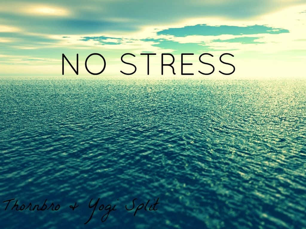 1024x768 Stress Wallpaper