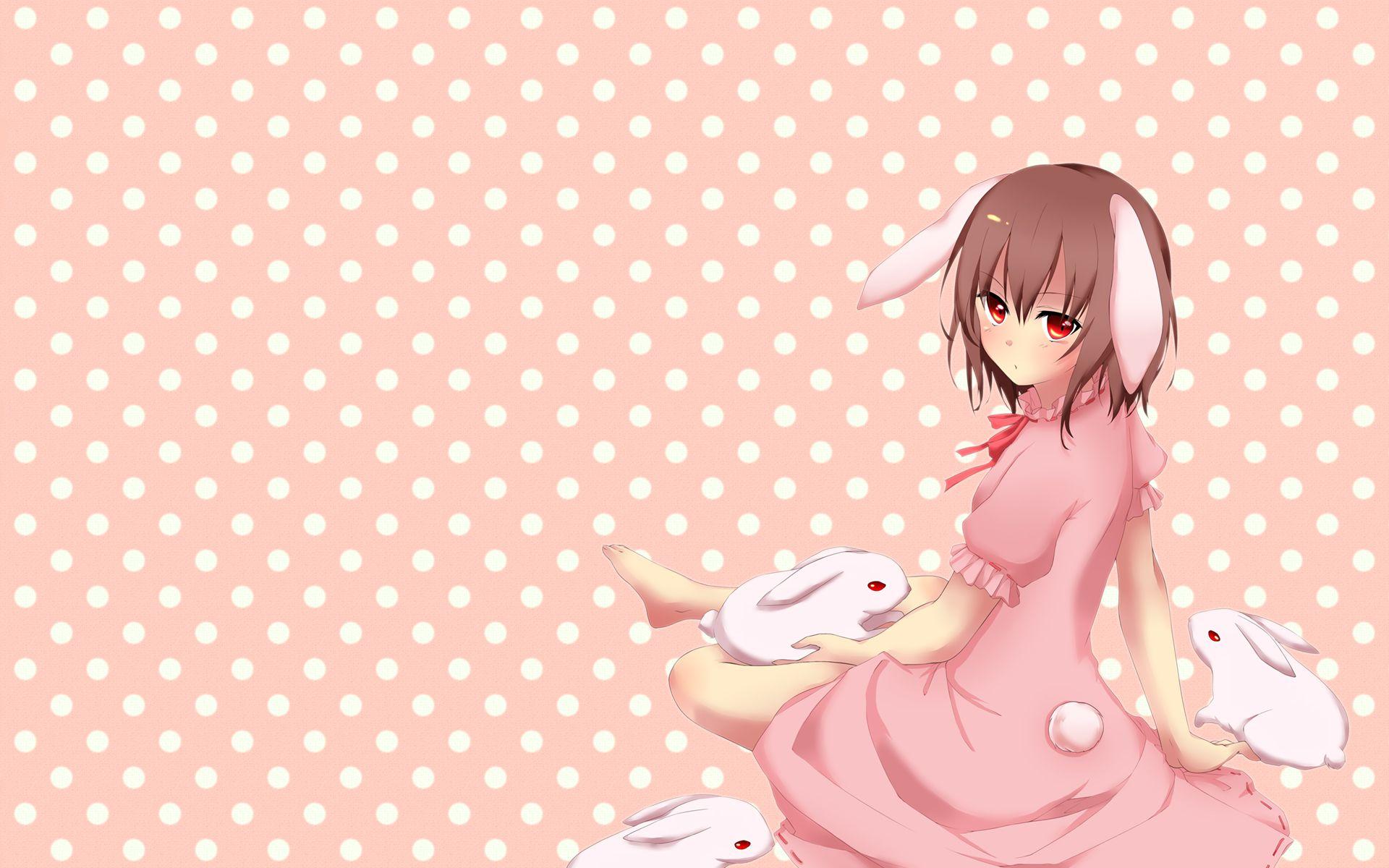 Bunny Girl Anime Wallpapers Top Free Bunny Girl Anime Backgrounds