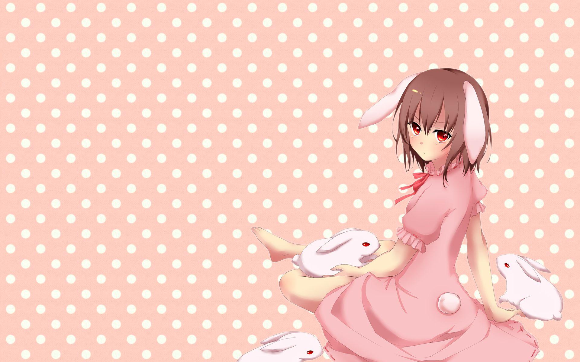 Bunny Girl Anime Wallpapers - Top Free Bunny Girl Anime Backgrounds