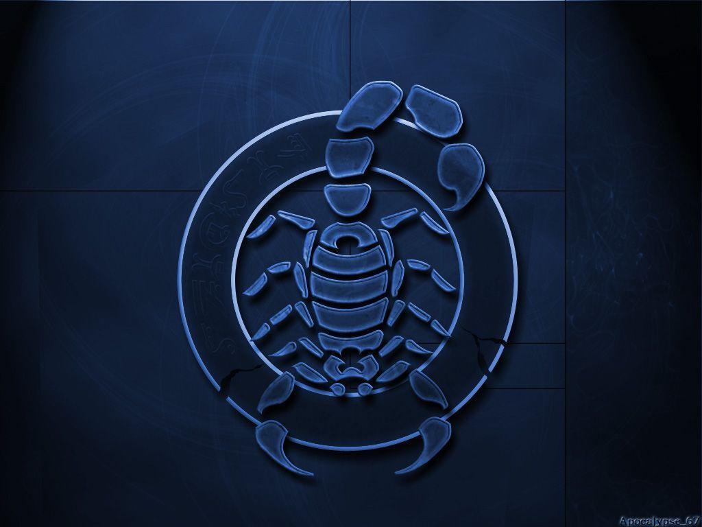 1024x768 Scorpion Full HD Wallpaper 4k