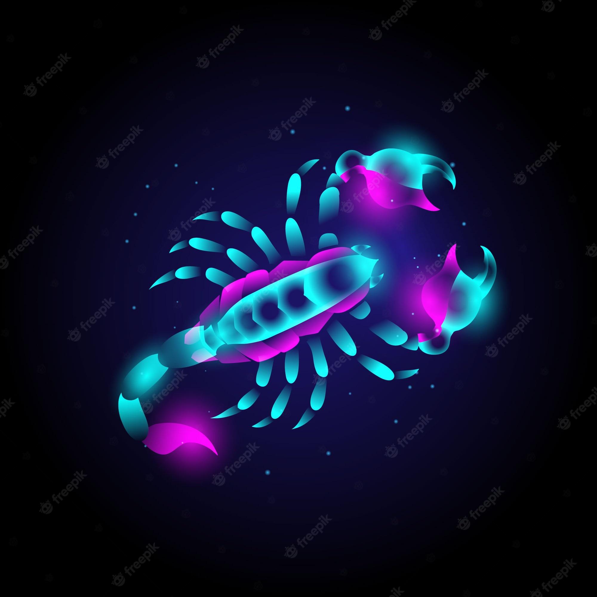 2000x2000 Premium Vector. Animal scorpion modern logo vector with neon vibrant colors, abstract