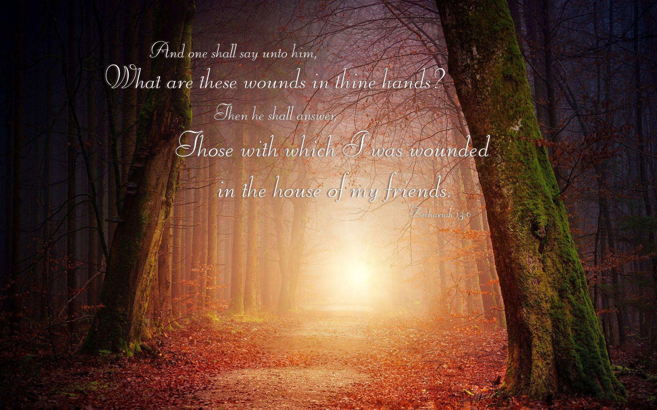 2133x1334 Bible & Nature Desktop Background and Uplifting