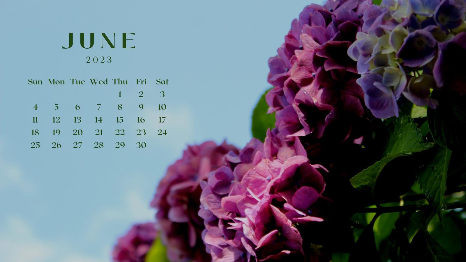 June 2023 Calendar Wallpapers - Top Free June 2023 Calendar Backgrounds