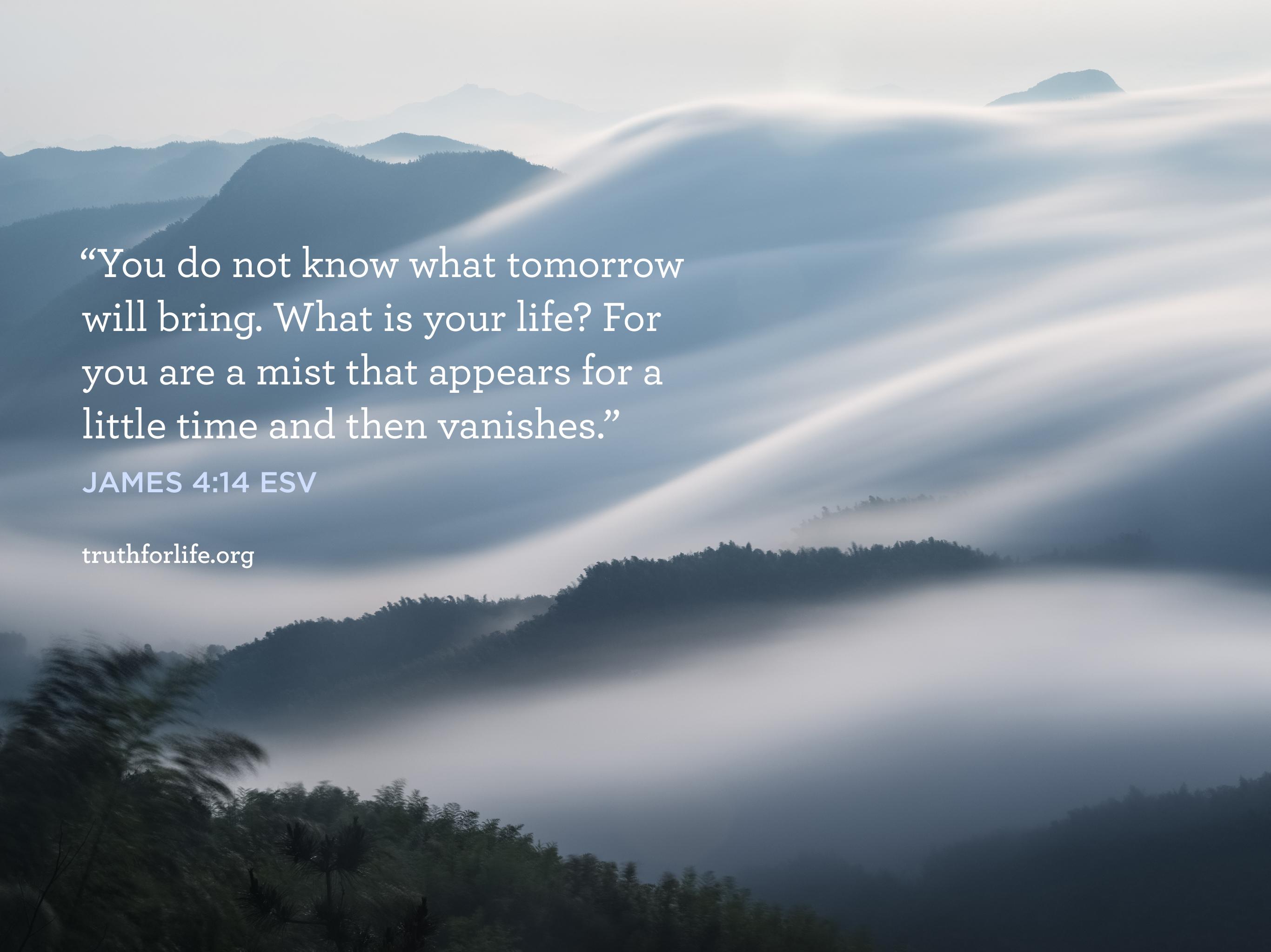 2732x2048 Mist: Wallpaper