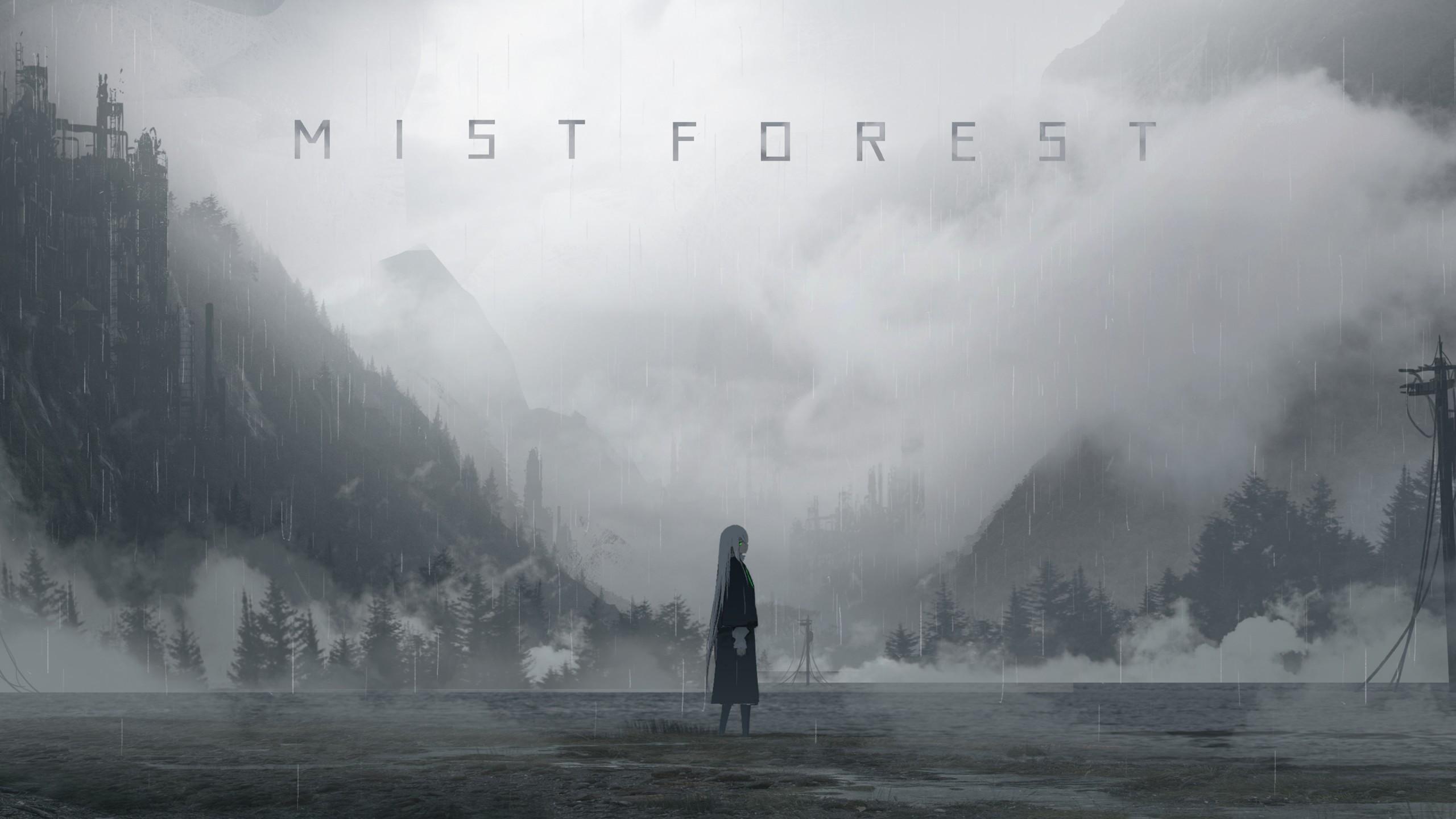 2560x1440 Girl In The Mist Wallpaper