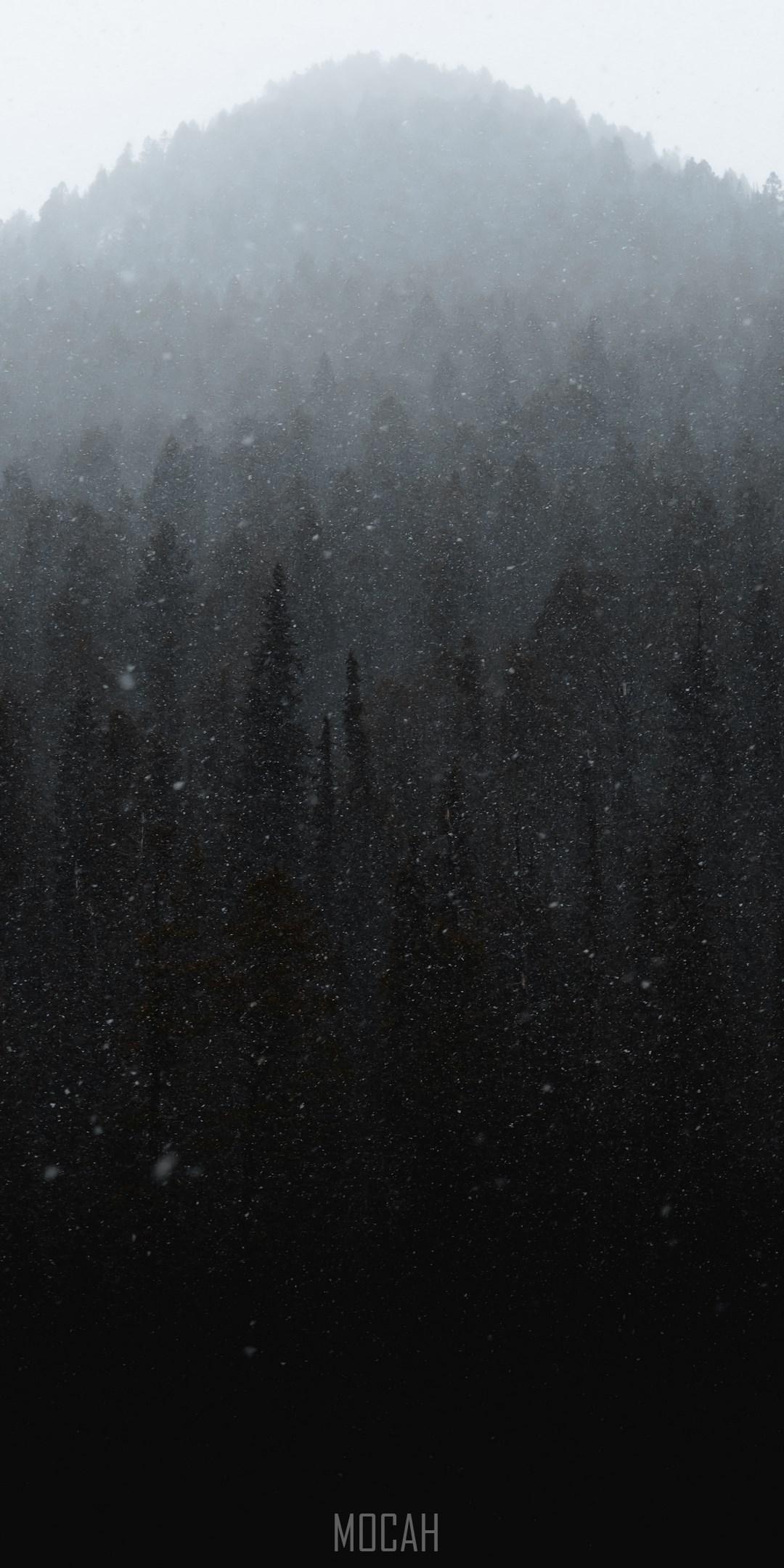 1080x2160 Mist, Winter, Black, Fog, Drizzle, Sony Xperia L1 wallpaper HD download, 720x1280 Gallery HD Wallpaper