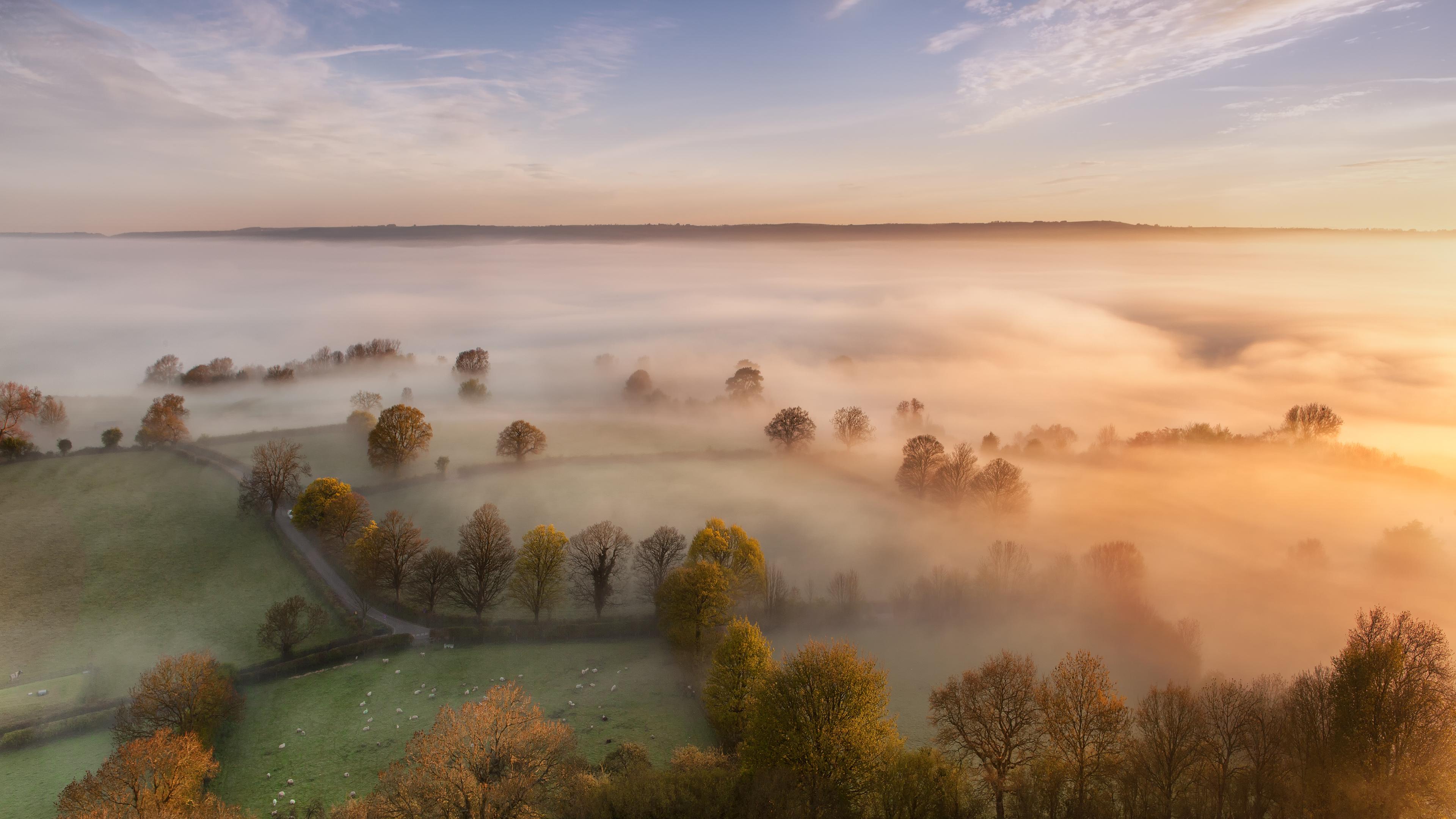 3840x2160 Nature Fog 4k Ultra HD Wallpaper