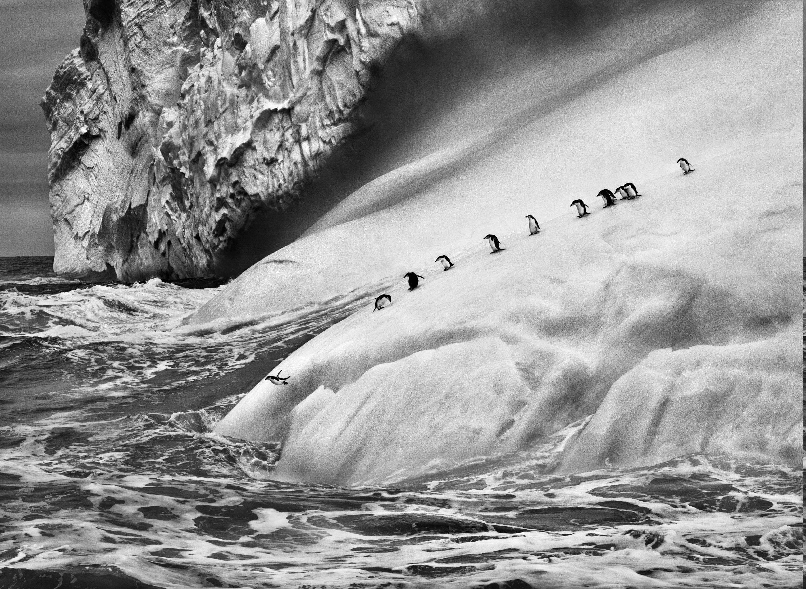 3165x2315 nature landscape animals ice penguins iceberg monochrome sebastiao salgado antarctica sea waves photography jumpi. Waves photography, Sea waves, Sebastiao salgado