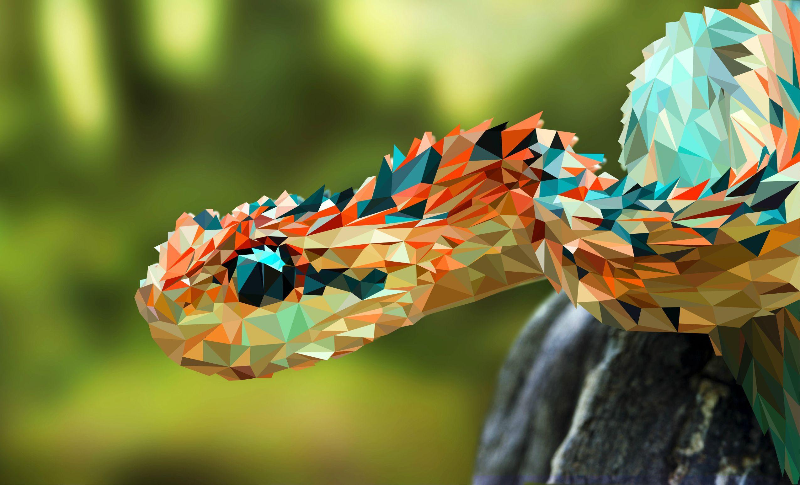 2550x1546 African Bush Viper. #Followme #CooliPhone6Case on #Twitter #Facebook #Google #Instagram #LinkedIn #Blogger #Tumblr #Y. African bush viper, Beautiful snakes, Snake