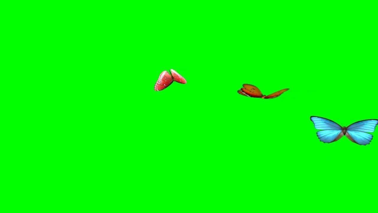 1280x720 Best Animated Butterflies, Flying Butterflies (Green Screen) HD