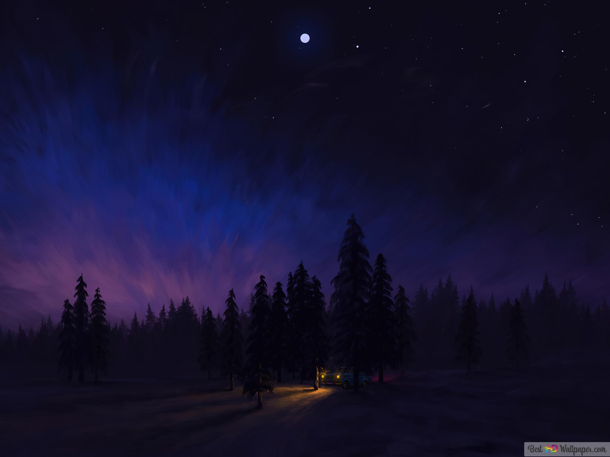 2048x1536 Night Forest Art 4K wallpaper download
