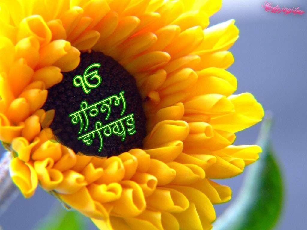 1024x768 Free download Satnam Waheguru picture submitted Hardip jagjit wallpaper background [1024x768] for your Desktop, Mobile & Tablet. Explore Waheguru Wallpaper. Waheguru Wallpaper