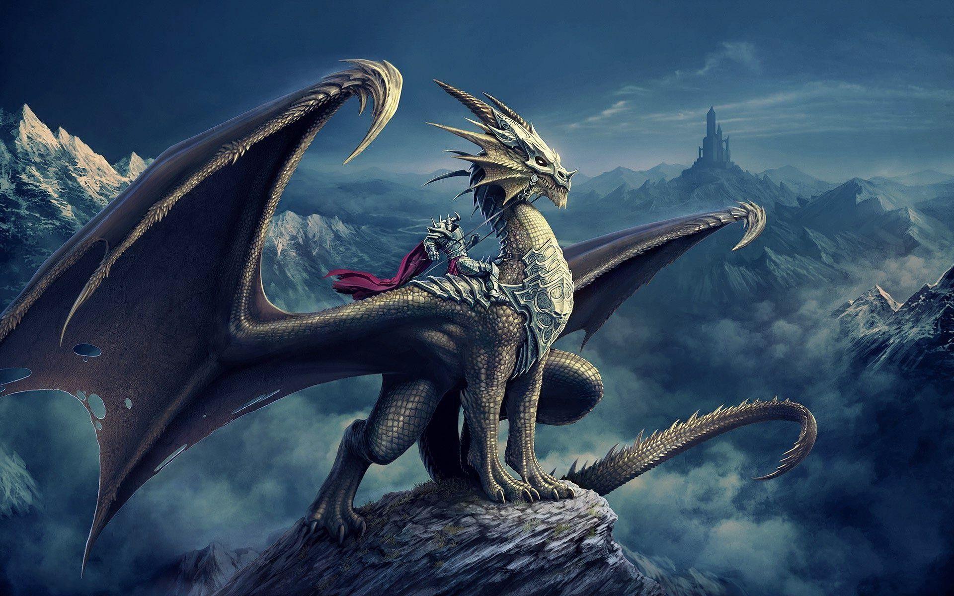 Dragon Dragon Wallpapers - Top Free Dragon Dragon Backgrounds -  WallpaperAccess